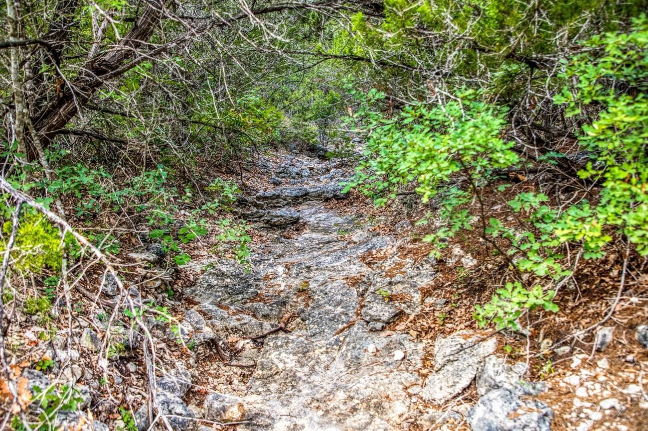 Uvalde, Uvalde County, TX Farms and Ranches, Recreational Property, Hunting Property for sale