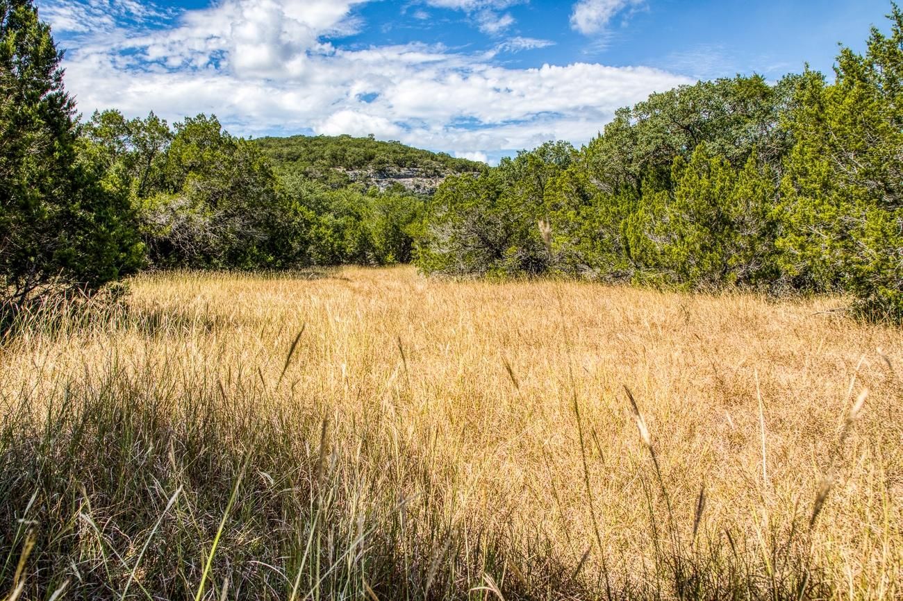 405 acres in Uvalde, TX, 78801 LandWatch