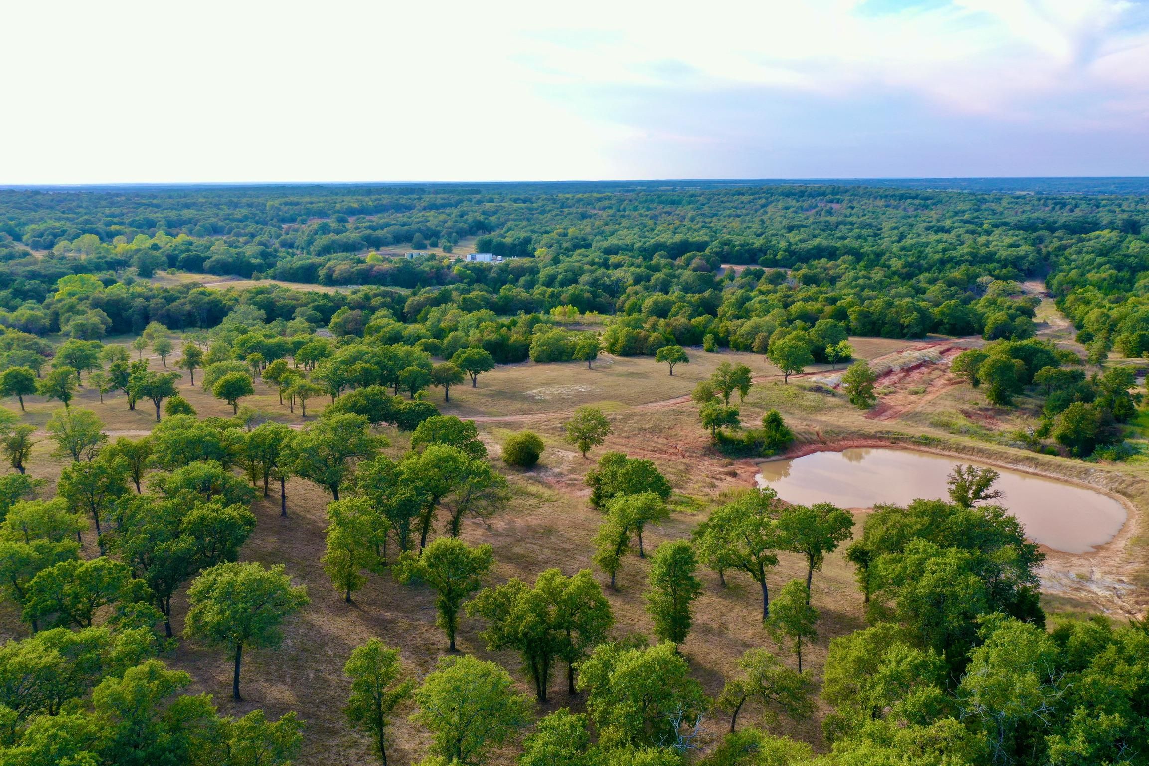 Alvord, Wise County, TX Farms and Ranches, House for sale Property ID