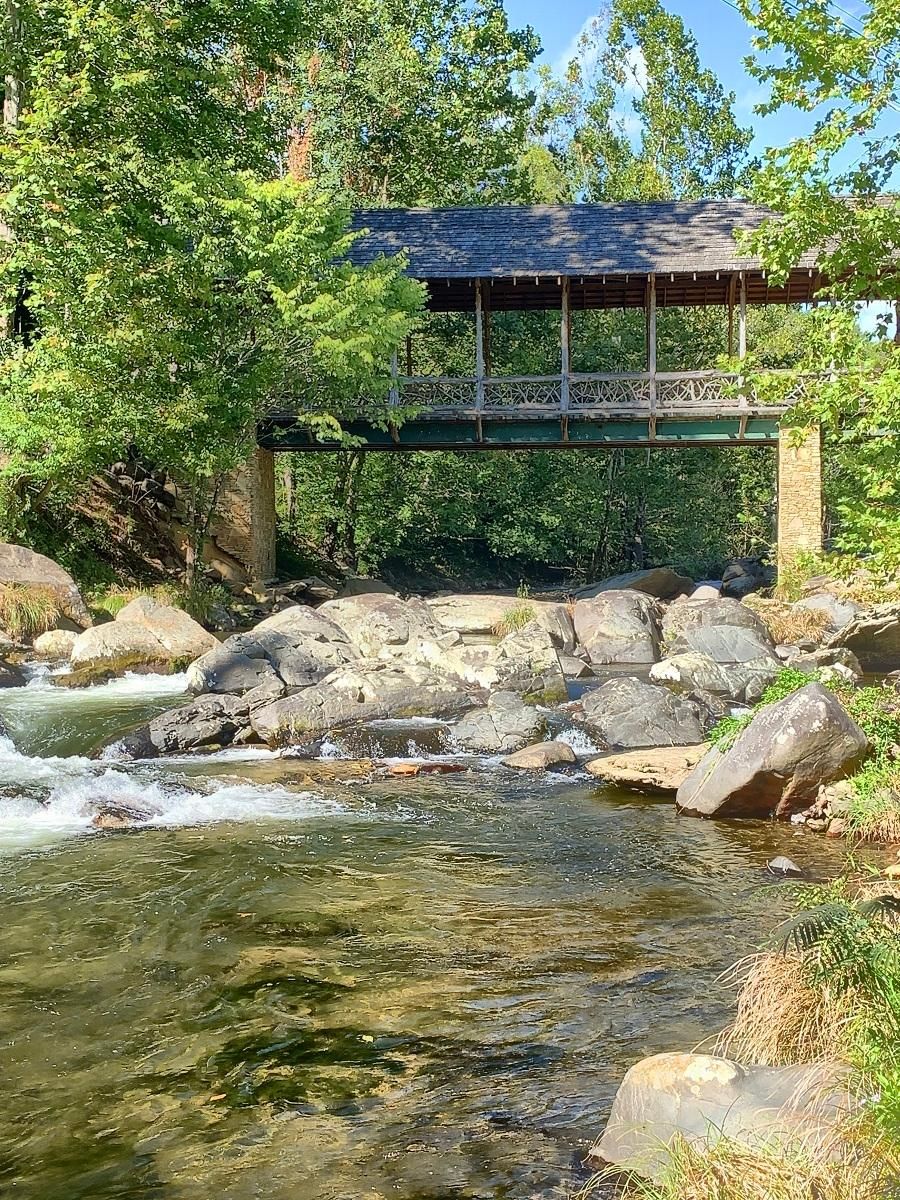 Bakersville, Mitchell County, NC Hunting Property for sale Property ID