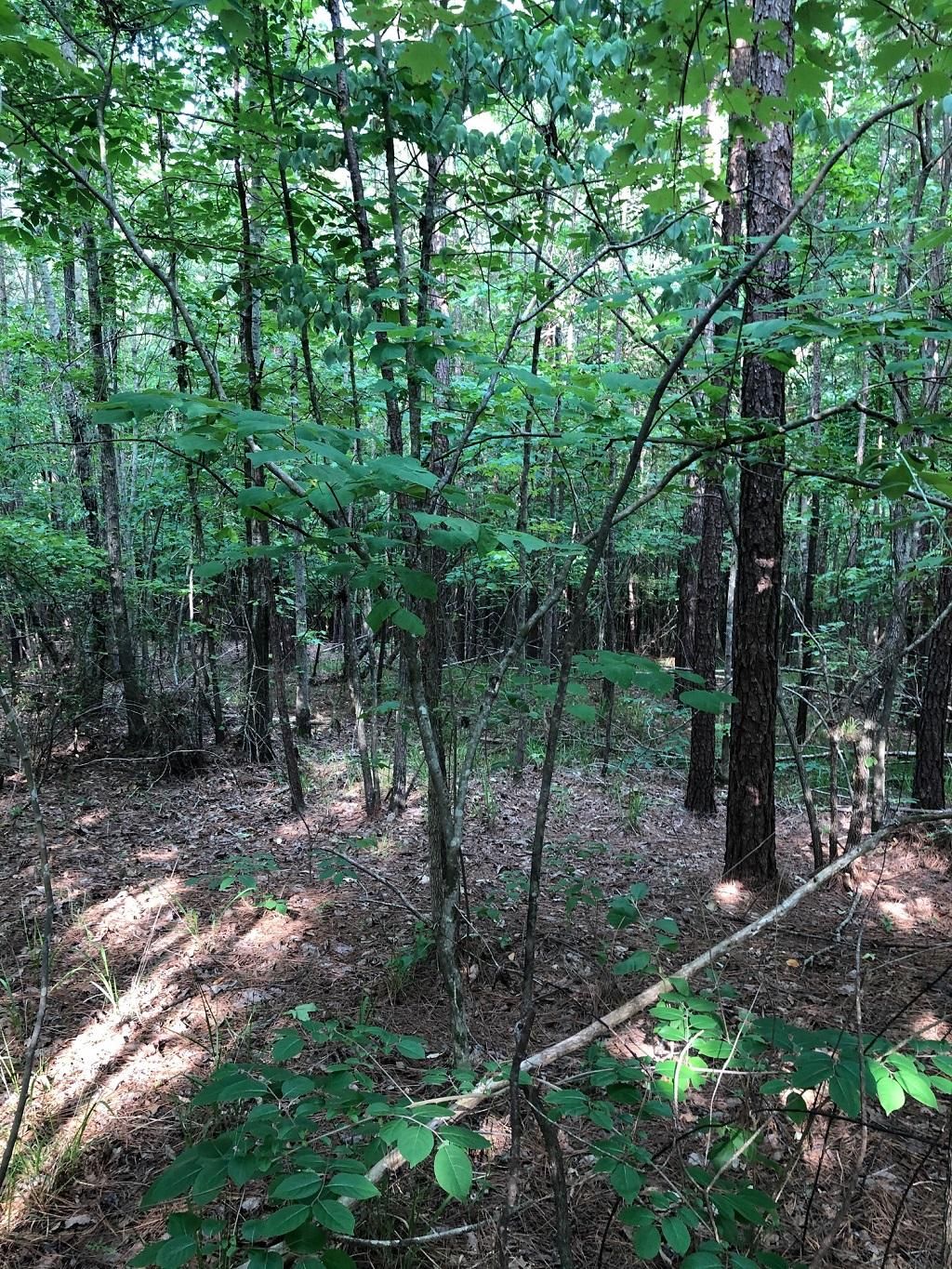 Lilesville, Anson County, NC Recreational Property, Lakefront Property