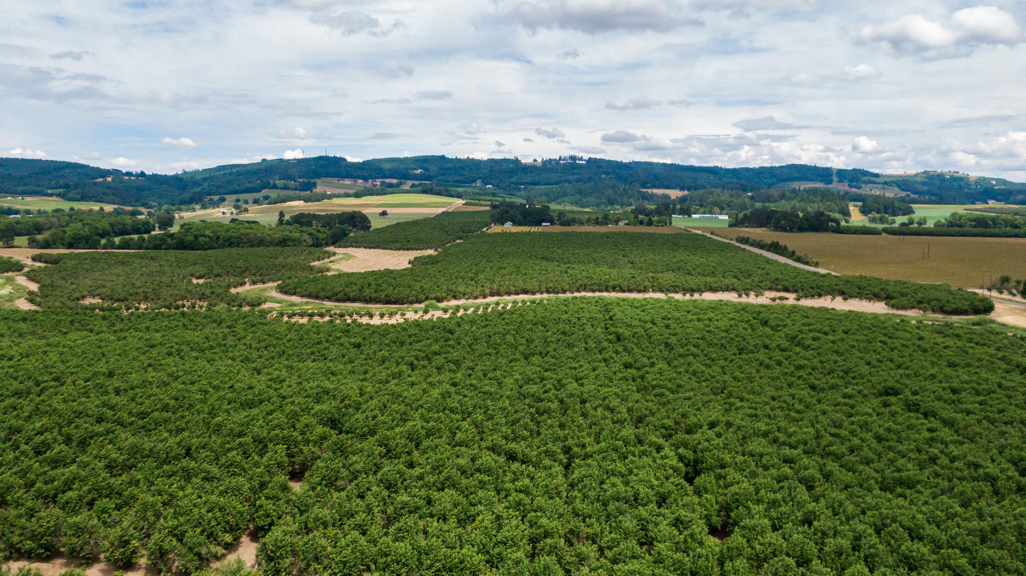 7565 Farmer Road, Rickreall, OR 97371 LandWatch