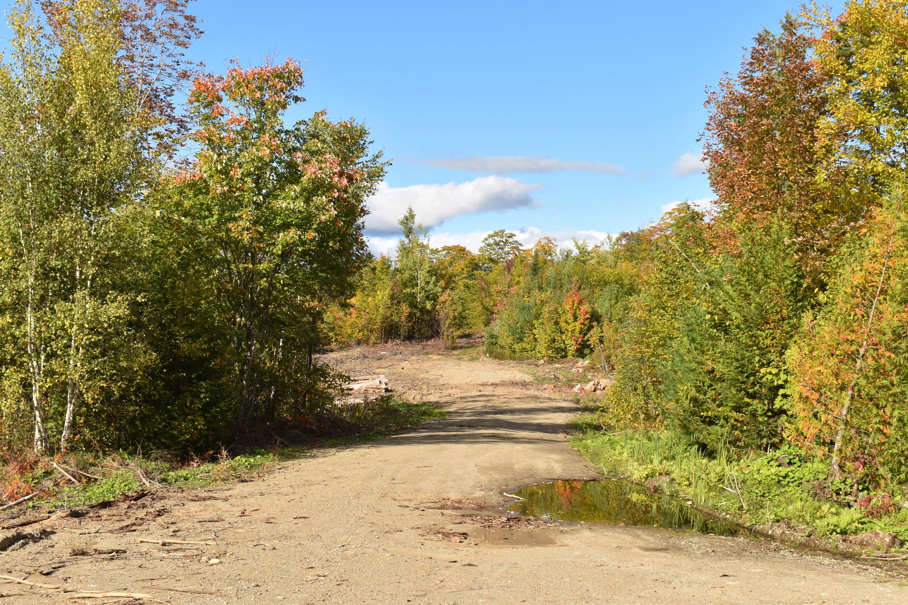 Springfield, Penobscot County, ME Undeveloped Land for sale Property ID