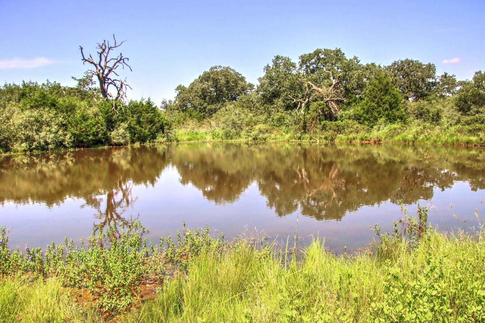 Flatonia, Bastrop County, TX Farms and Ranches, Undeveloped Land