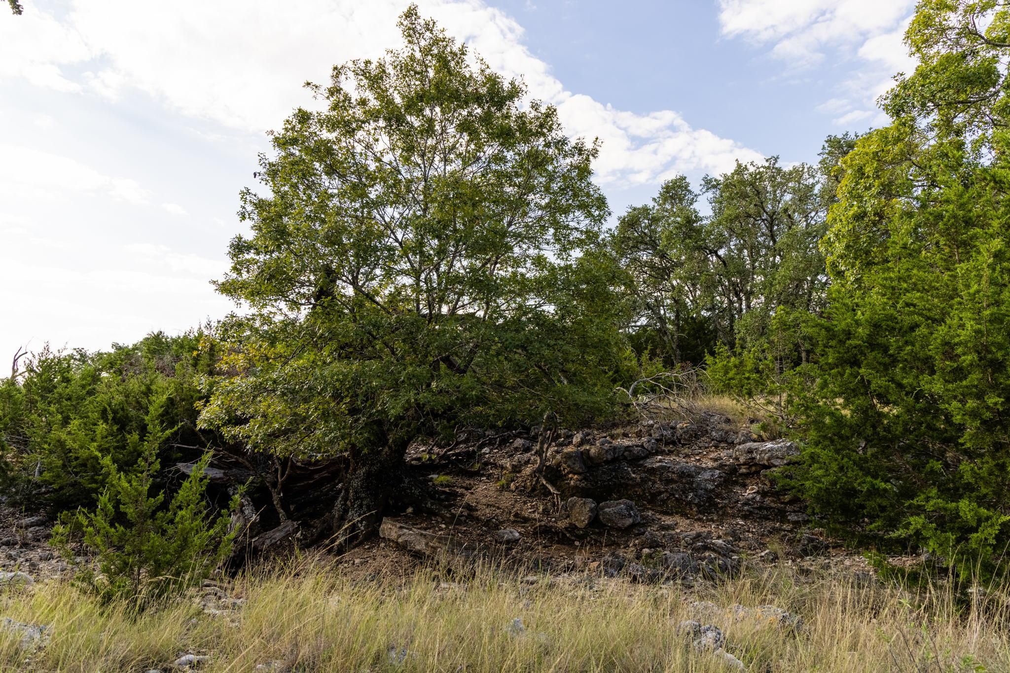 Junction, Kimble County, TX Farms and Ranches, Recreational Property, Hunting Property for sale