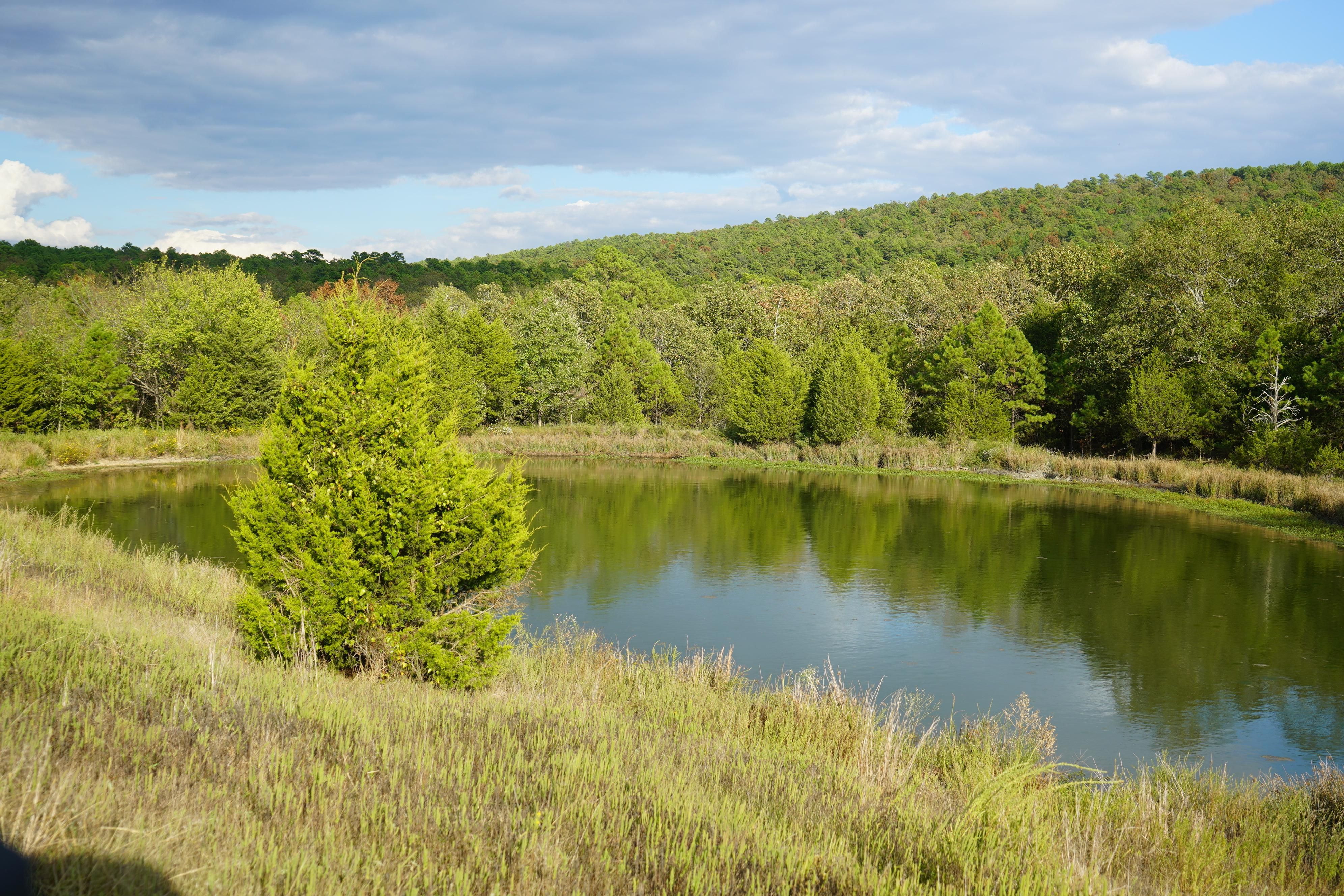 Red Oak, Le Flore County, OK Farms and Ranches, Recreational Property