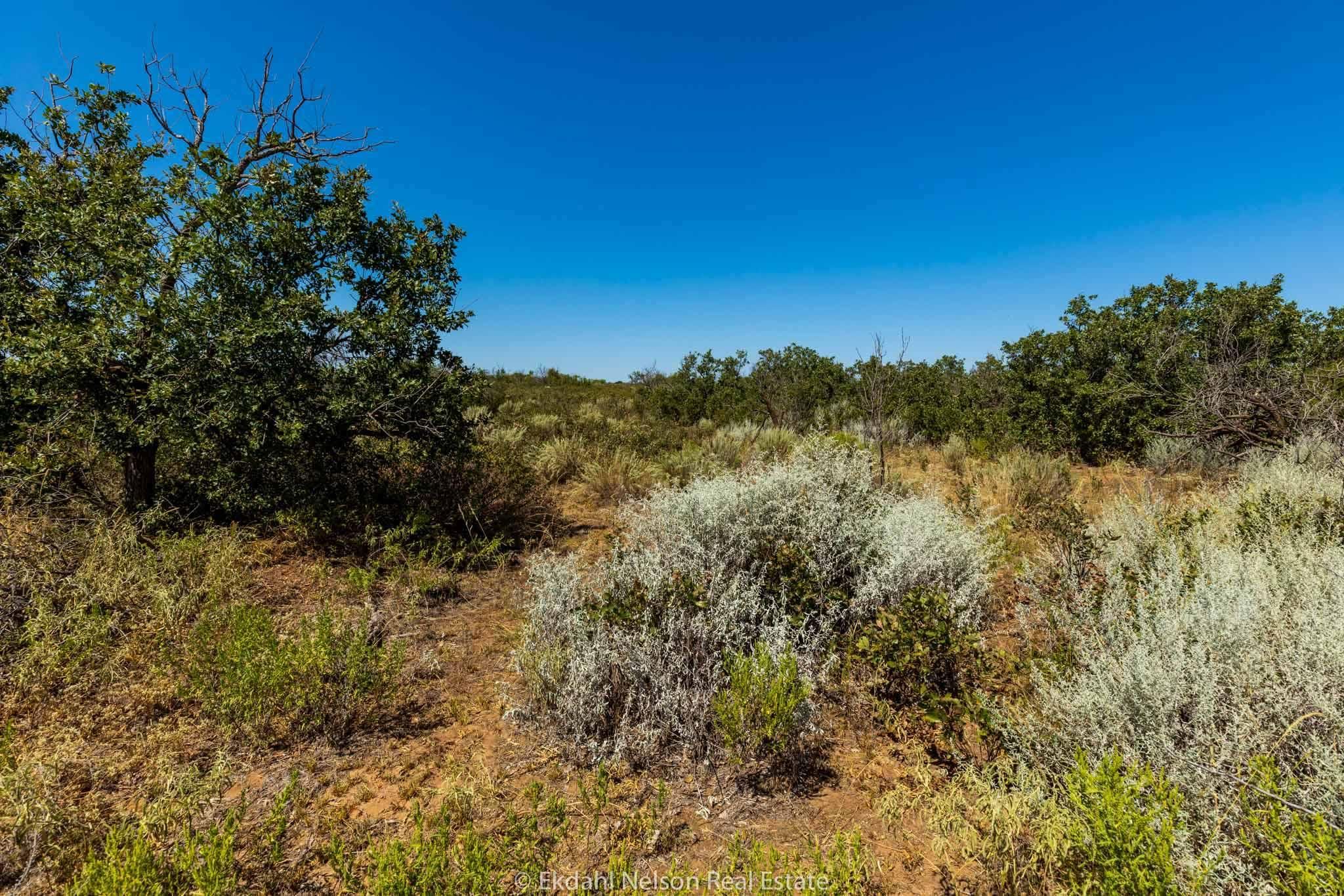 Roaring Springs, Motley County, TX Farms and Ranches, Recreational
