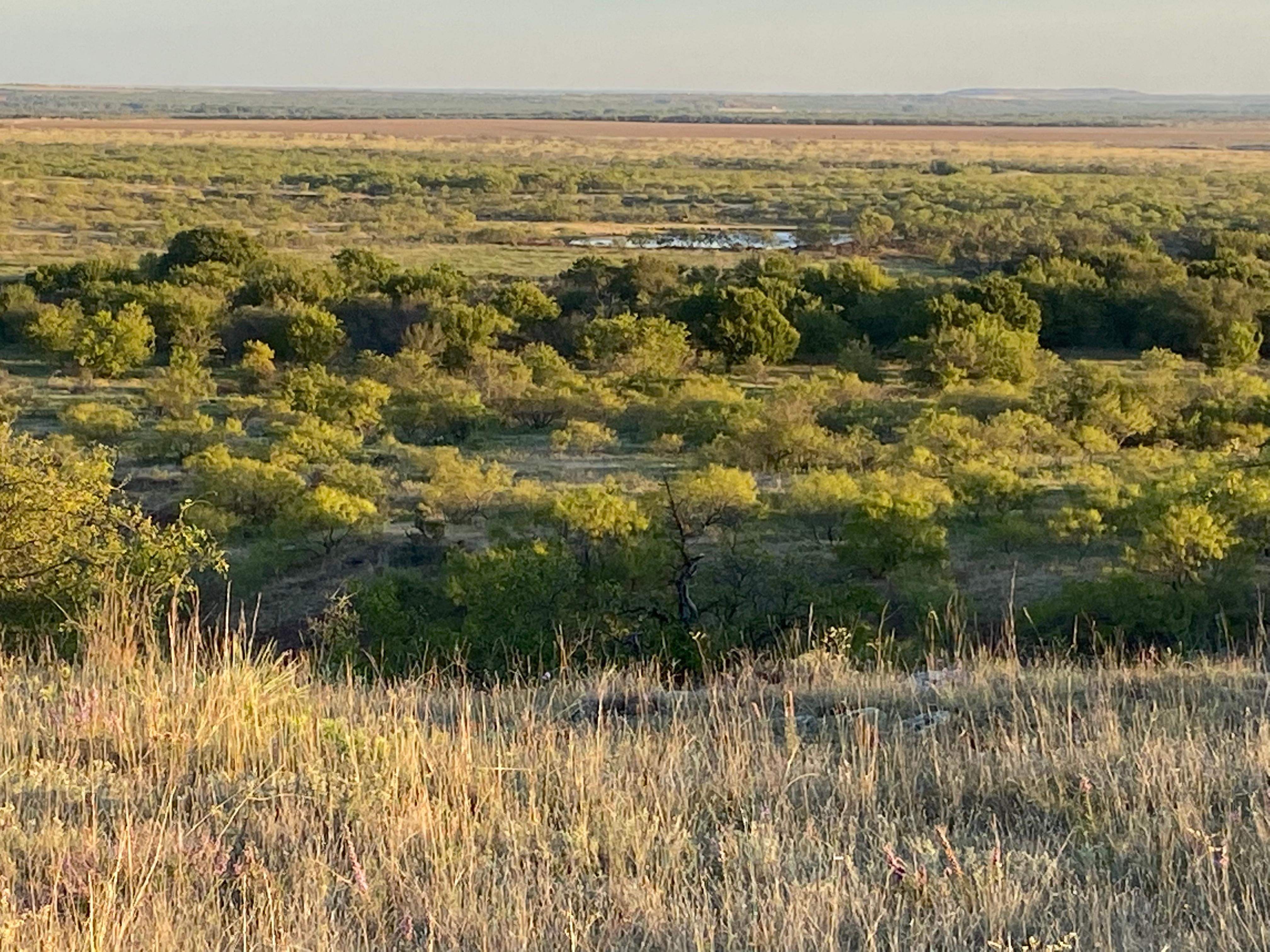 Olney, Archer County, TX Farms and Ranches, Recreational Property