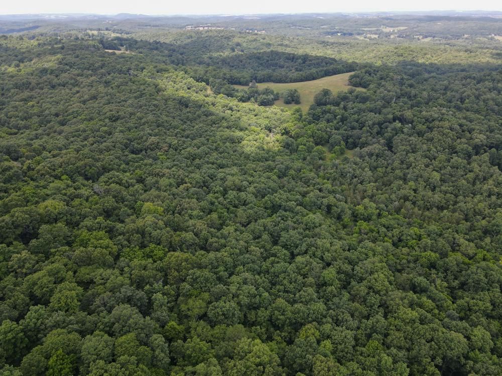 Cushman, Independence County, AR Recreational Property, Timberland