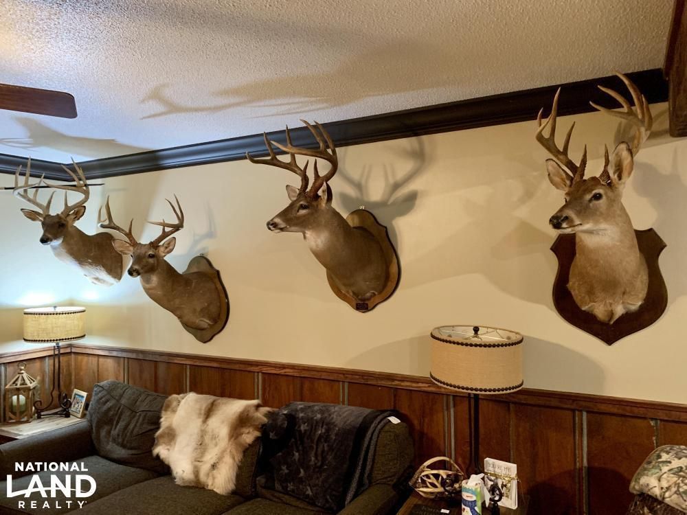 Putnam, Marengo County, AL Recreational Property, Timberland Property