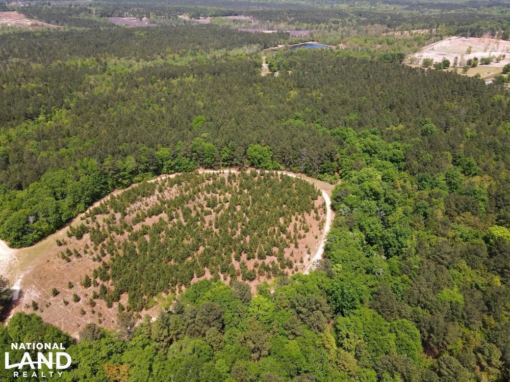 Ridge Spring, Aiken County, SC Recreational Property, Timberland
