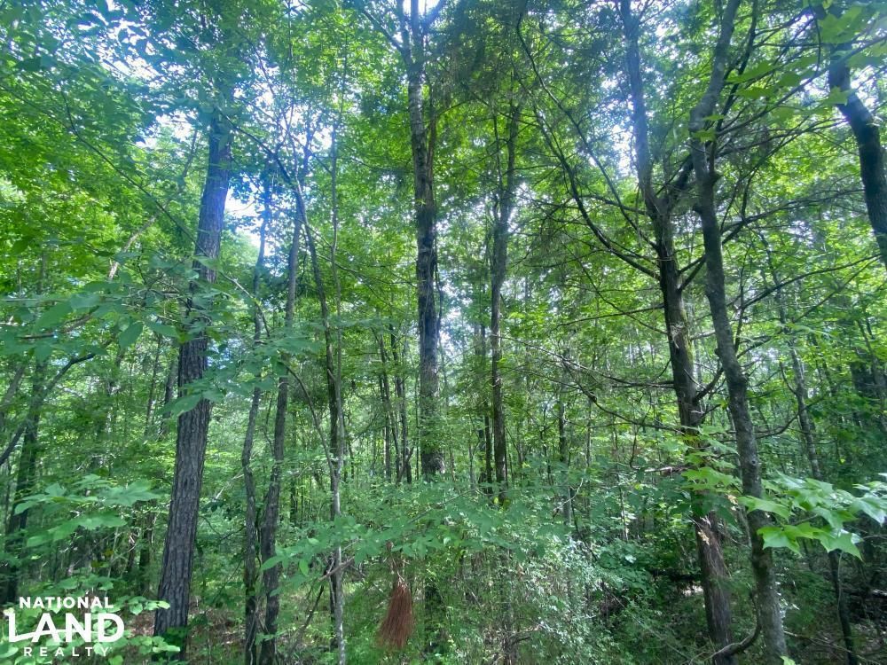 Sprott, Perry County, AL Recreational Property, Hunting Property for