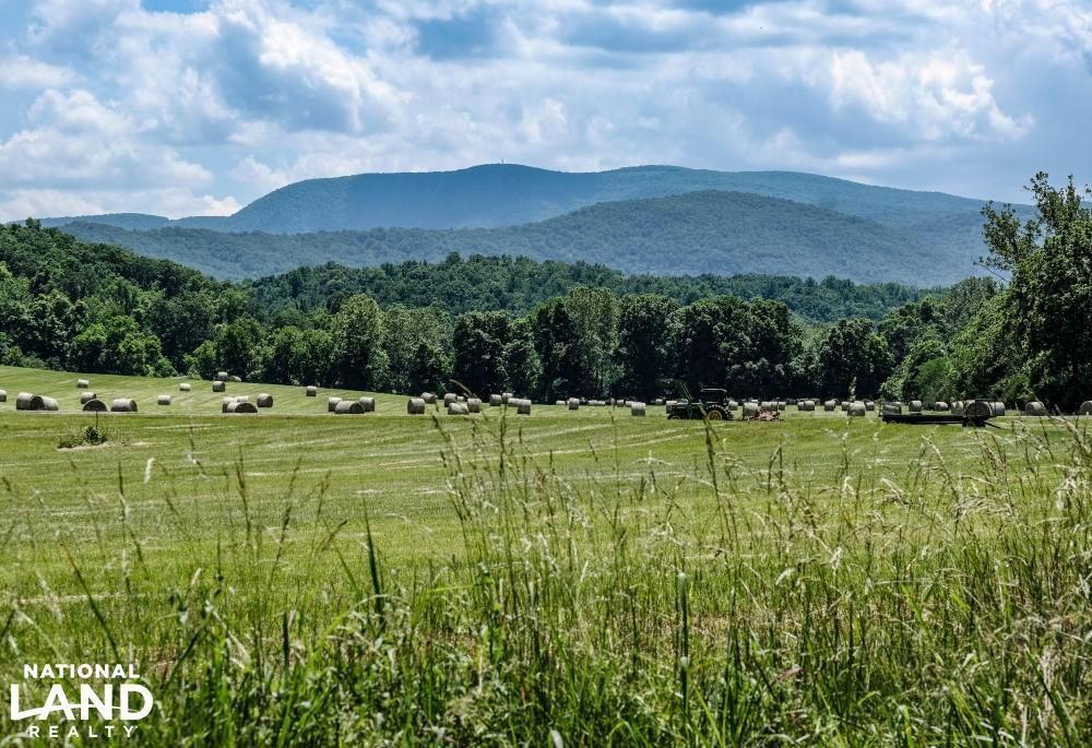 Bentonville, Warren County, VA Recreational Property, Hunting Property