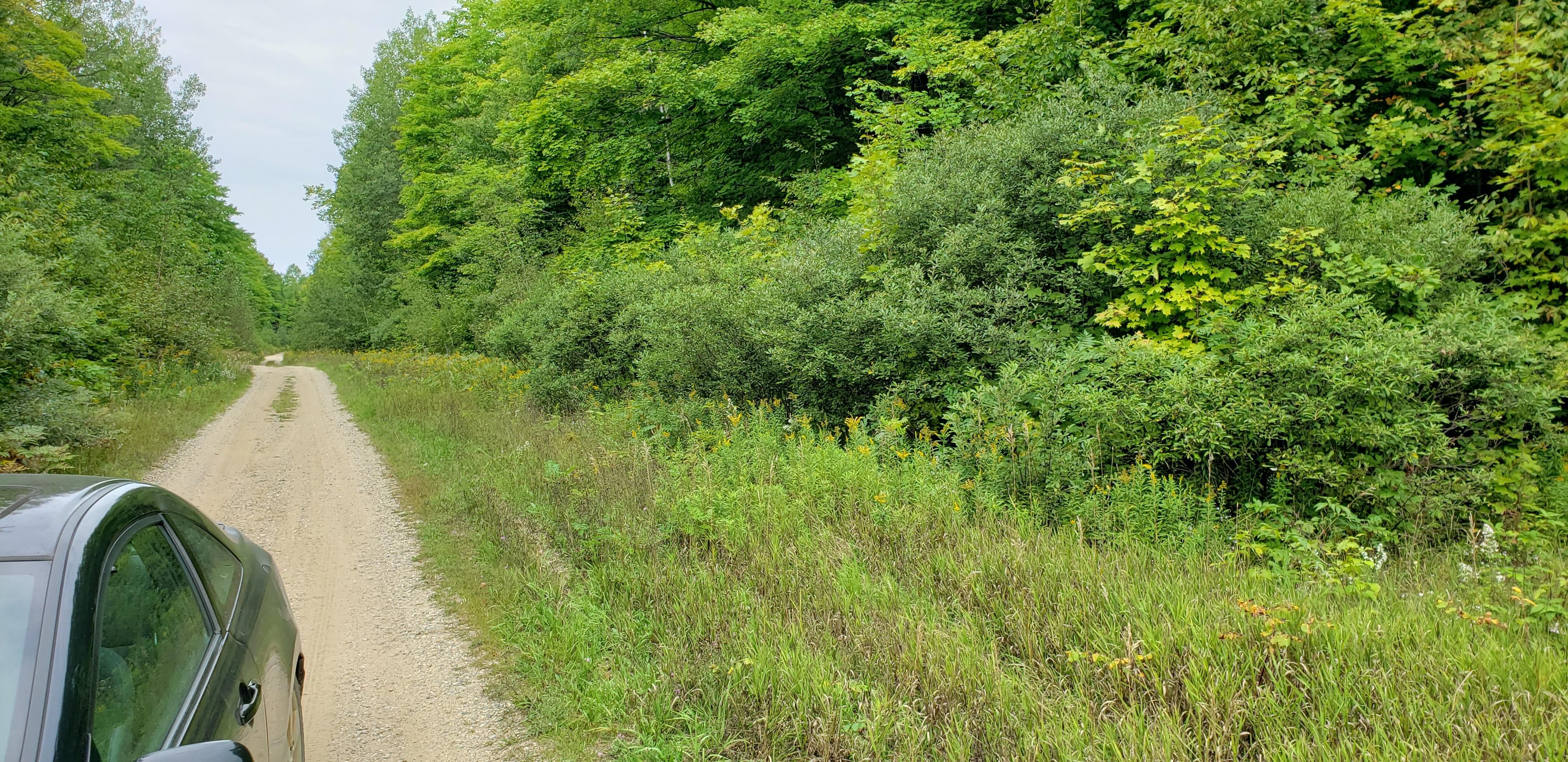 Frederic, Crawford County, MI Recreational Property, Undeveloped Land