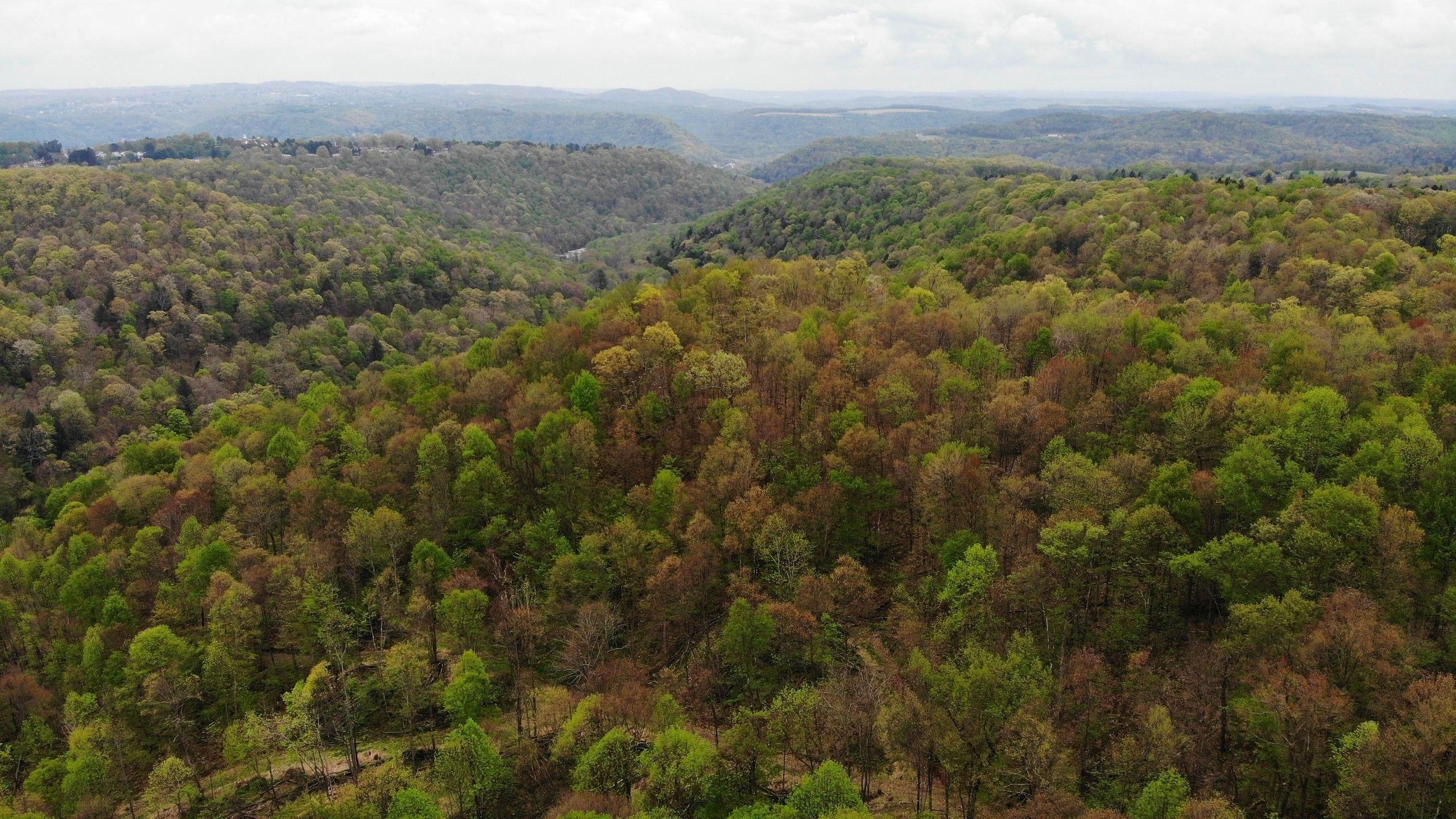 Johnstown, Cambria County, PA Recreational Property, Timberland