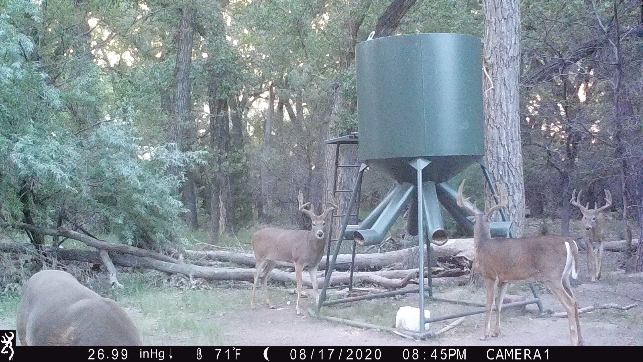 Haigler, Dundy County, NE Recreational Property, Hunting Property for