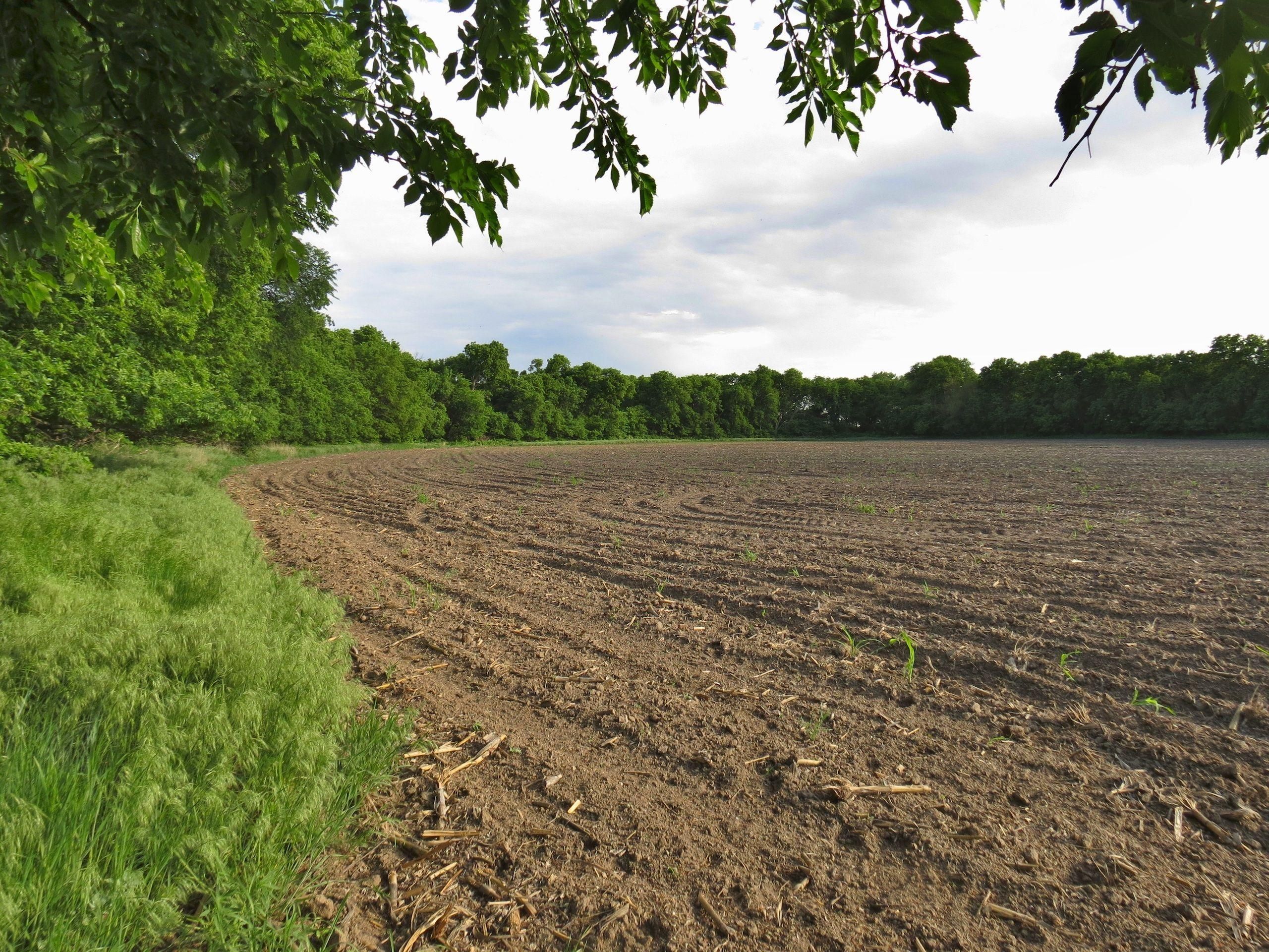 Great Bend, Barton County, KS Recreational Property, Hunting Property