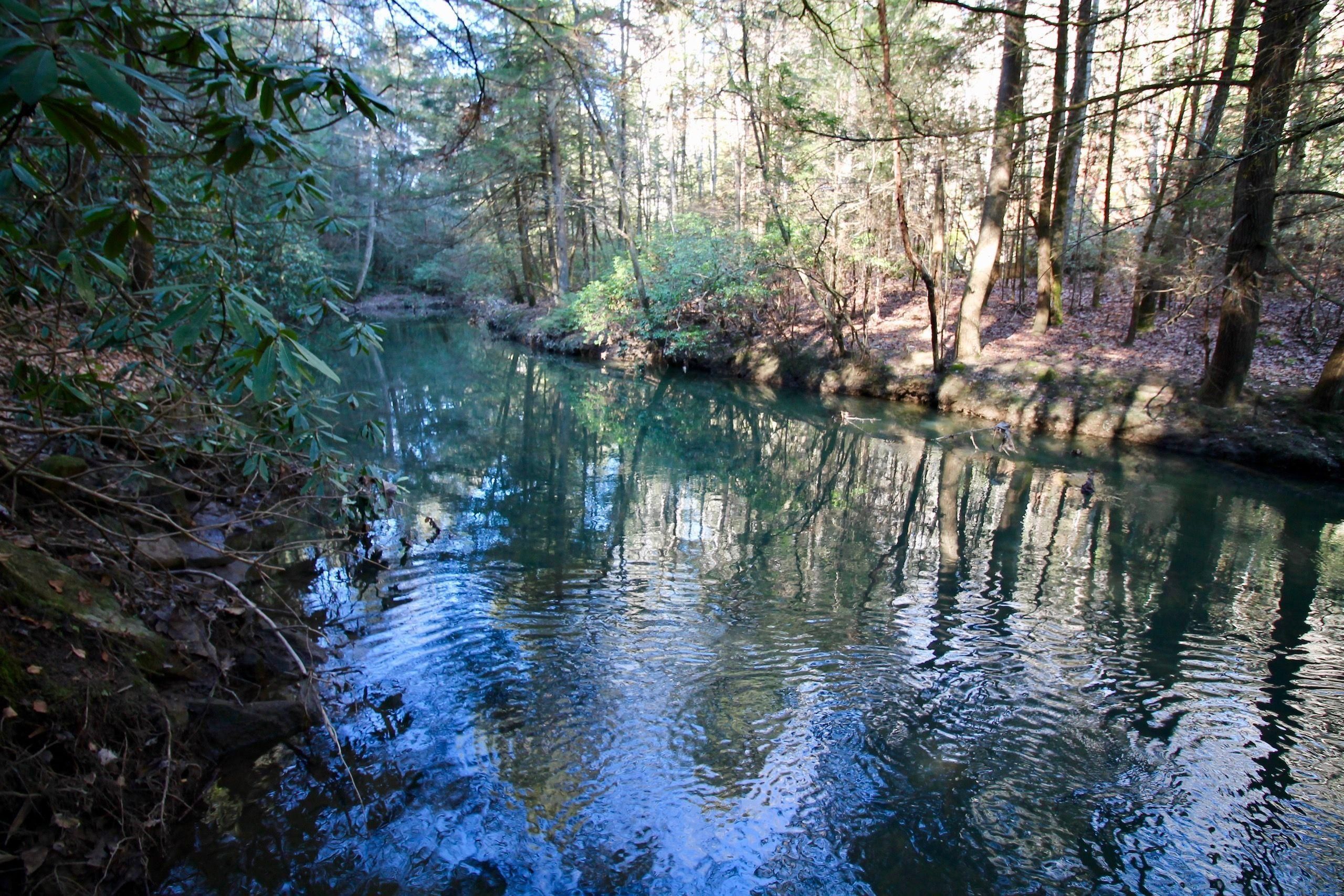 Deer Lodge, County, TN Recreational Property, Timberland