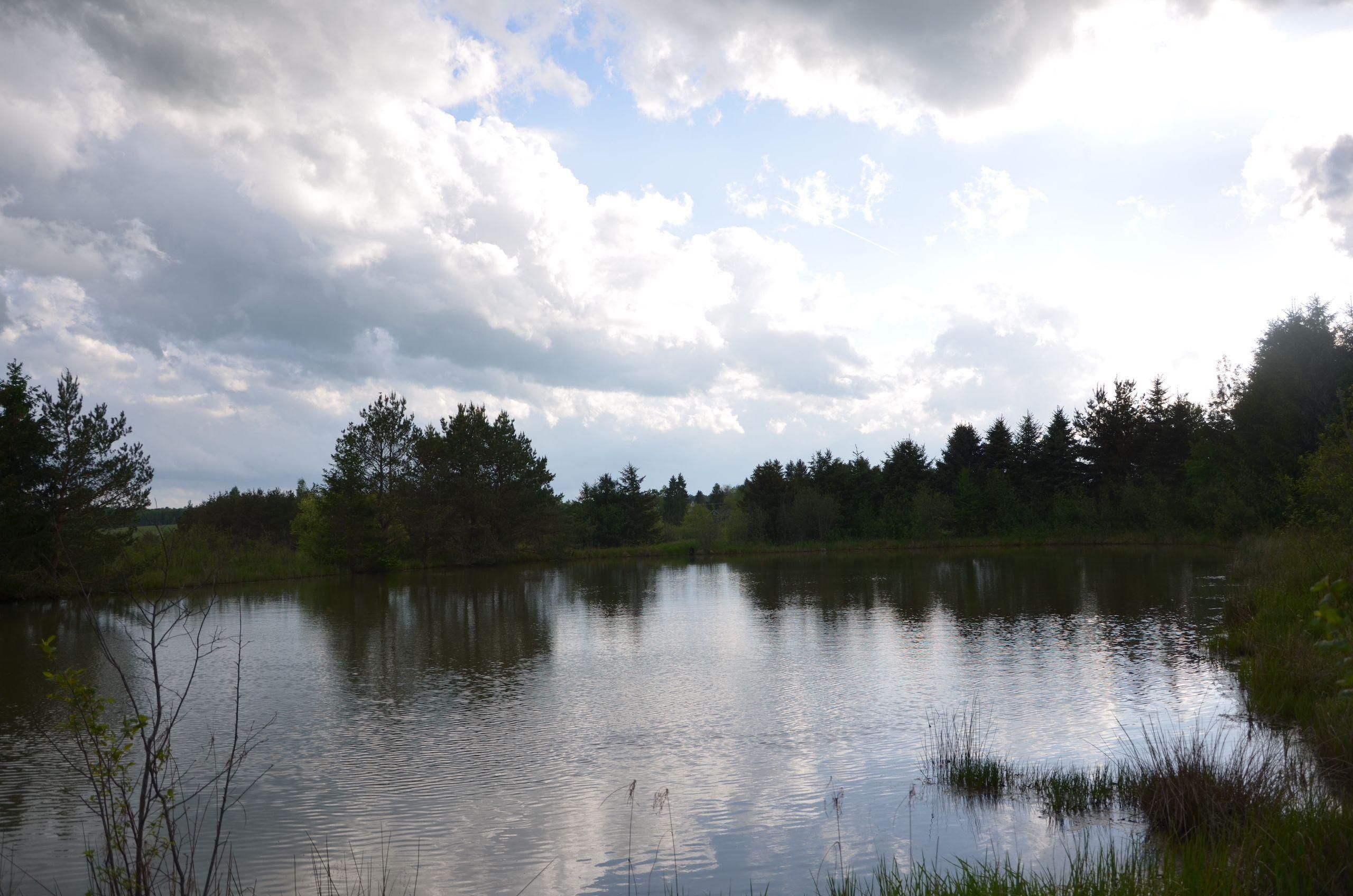 Ridgway, Elk County, PA Recreational Property, Undeveloped Land