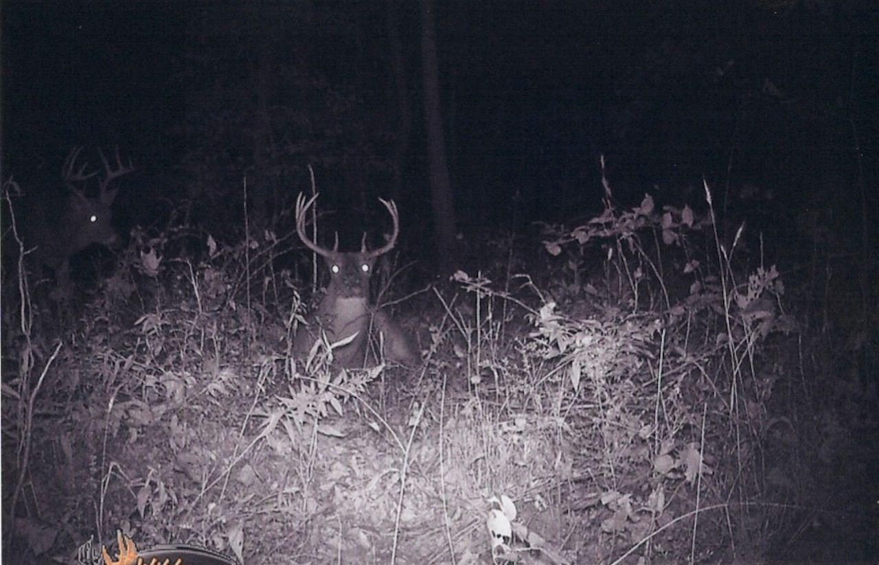 Grafton, Jersey County, IL Recreational Property, Timberland Property