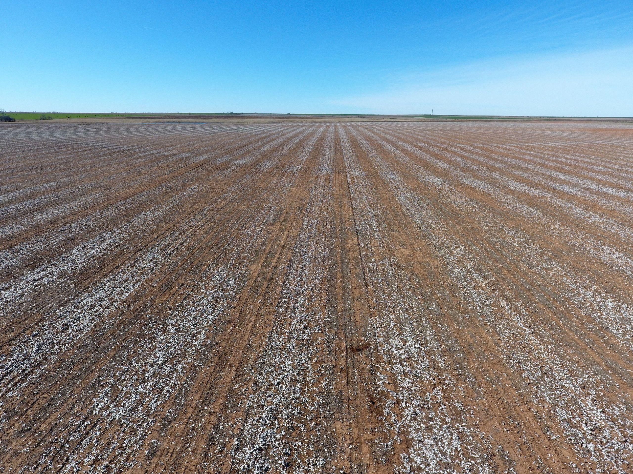 Grandfield, Tillman County, OK Recreational Property, Hunting Property