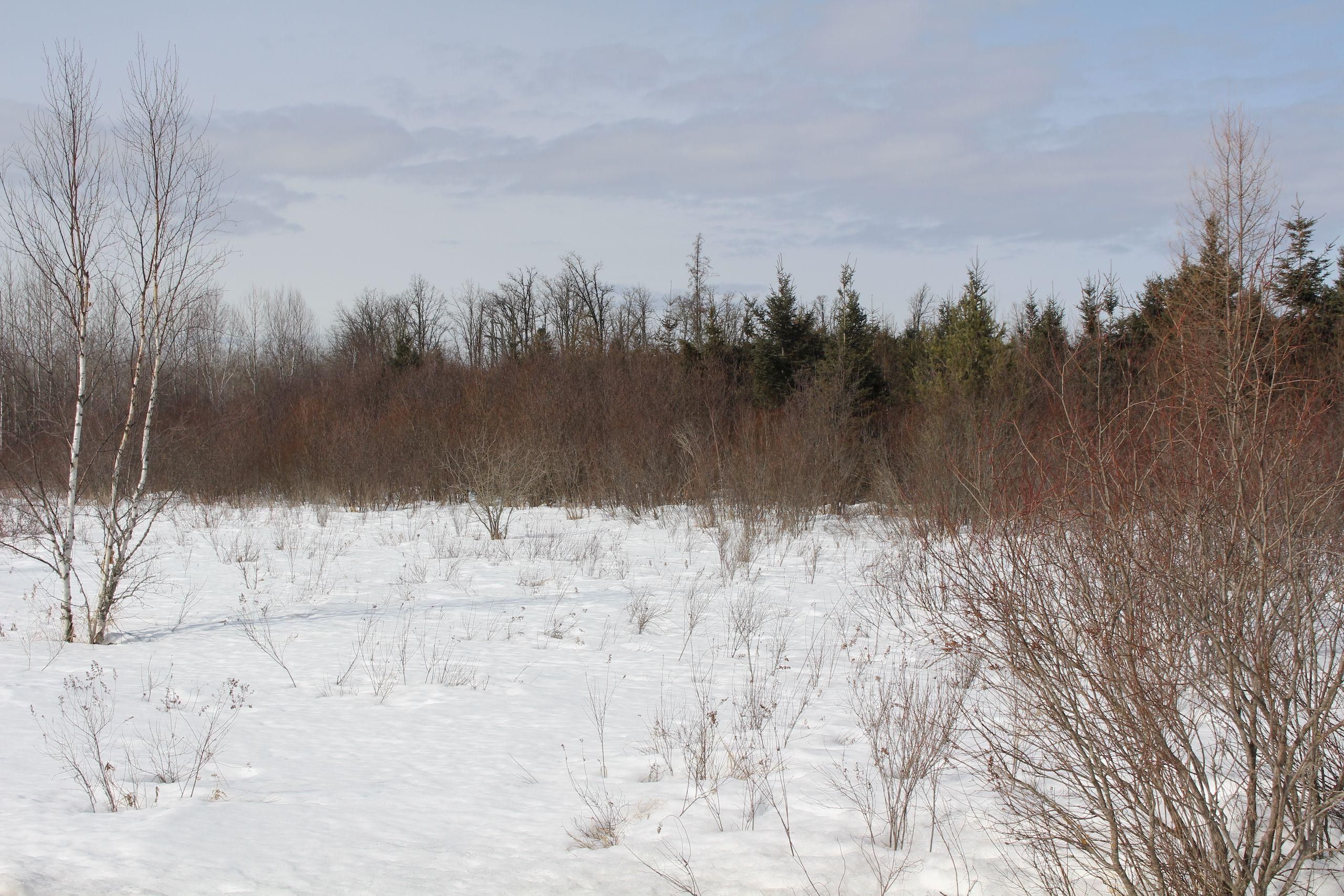 Swatara, Aitkin County, MN Recreational Property, Hunting Property for