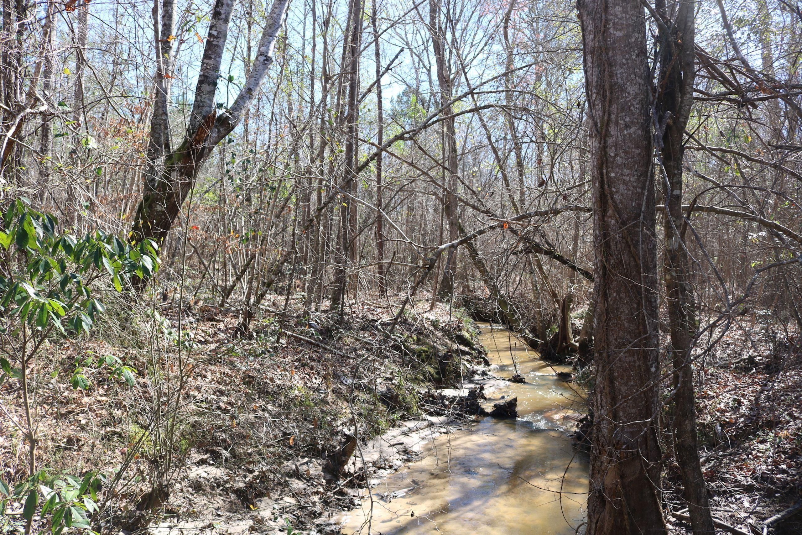 Braxton, Simpson County, MS Recreational Property, Timberland Property