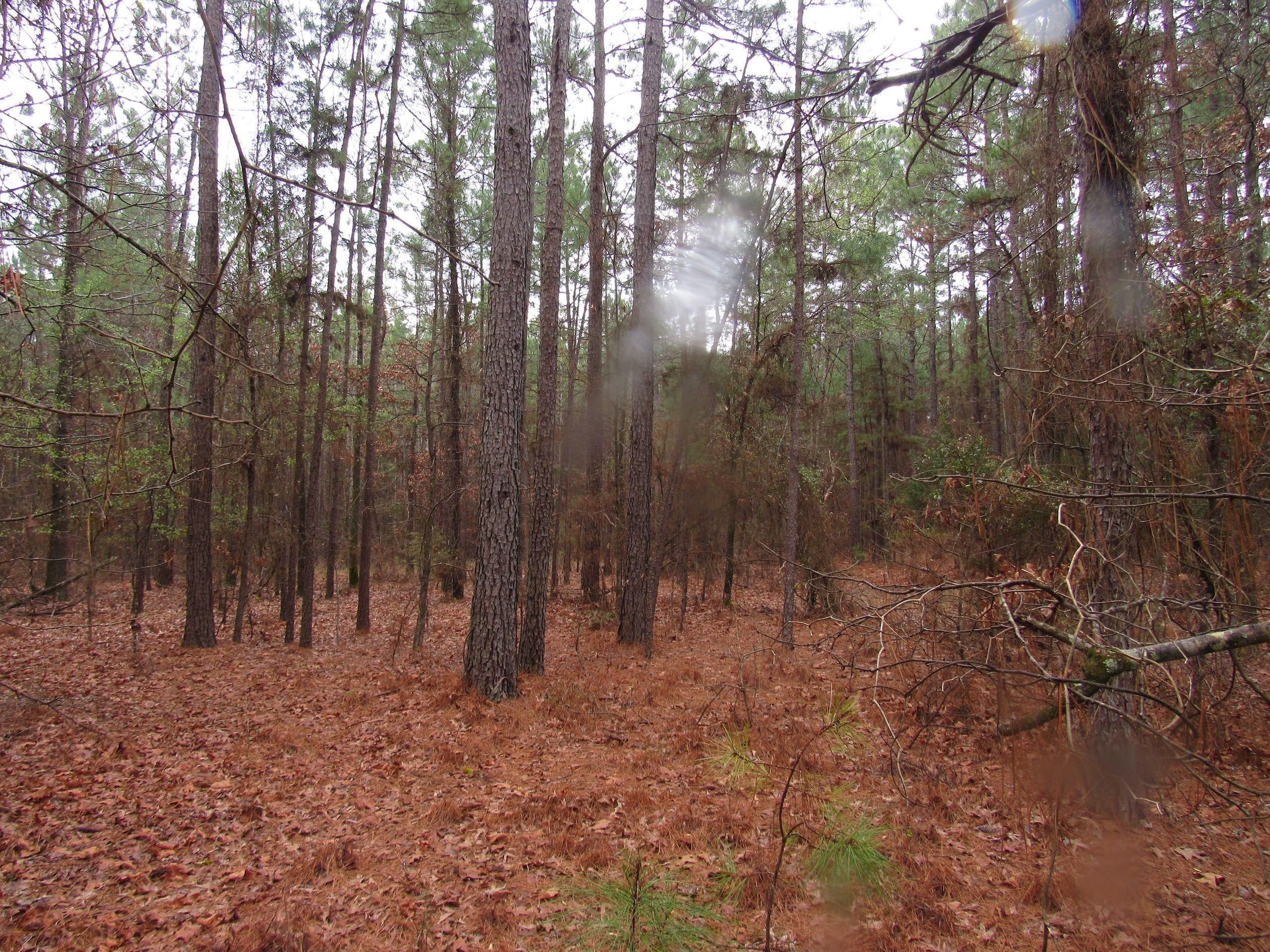 Sparkman, Dallas County, AR Recreational Property, Hunting Property for
