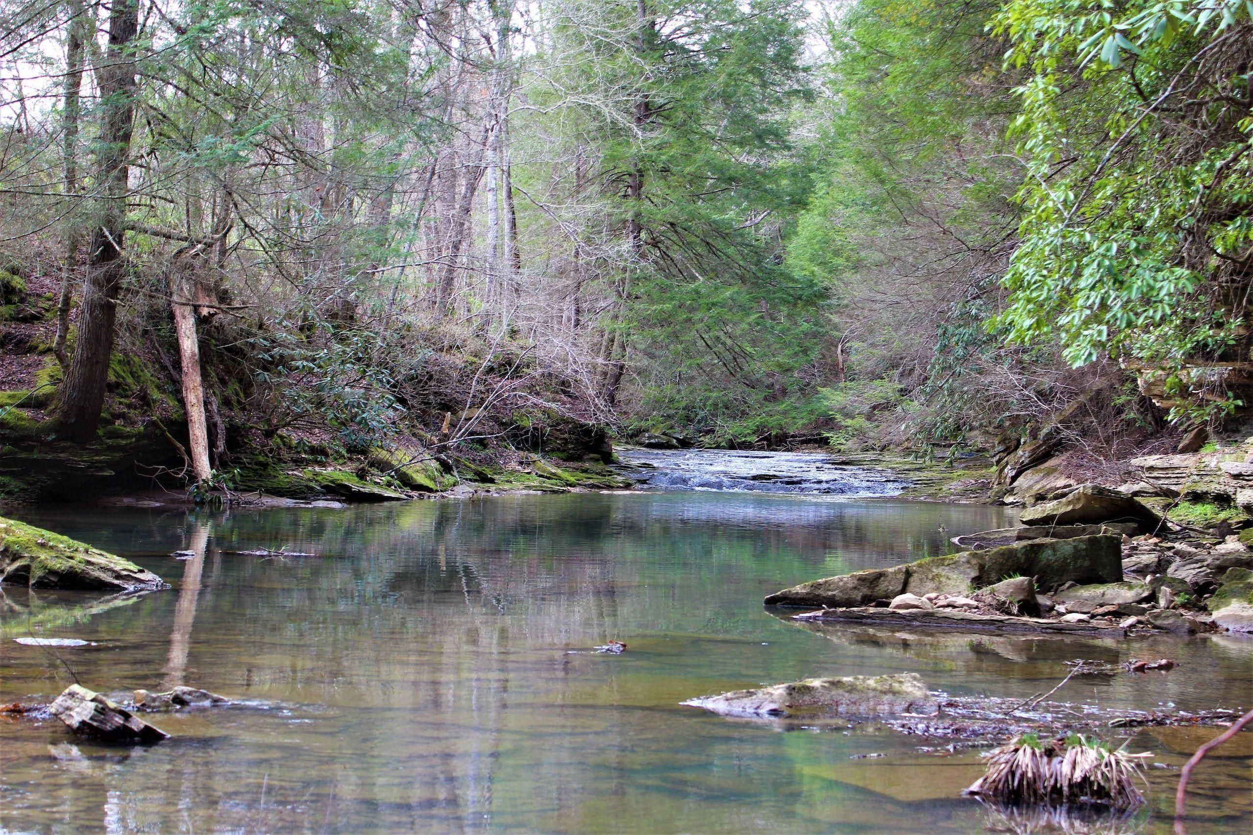 McKee, Owsley County, KY Recreational Property, Timberland Property