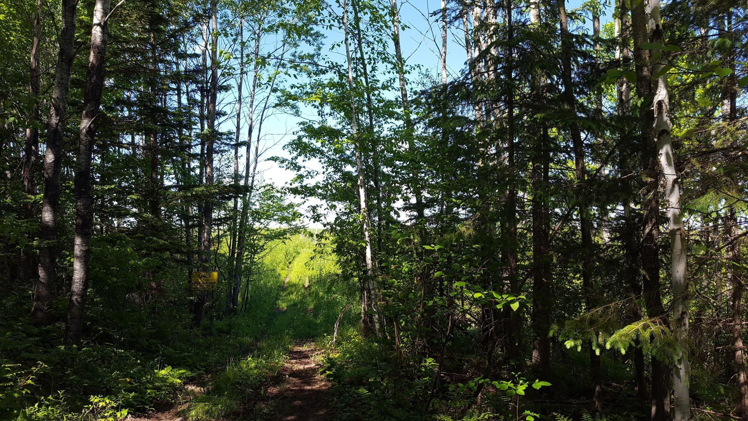 Beaverbrook Road, LotWP01, Radisson, WI 54867 LandWatch