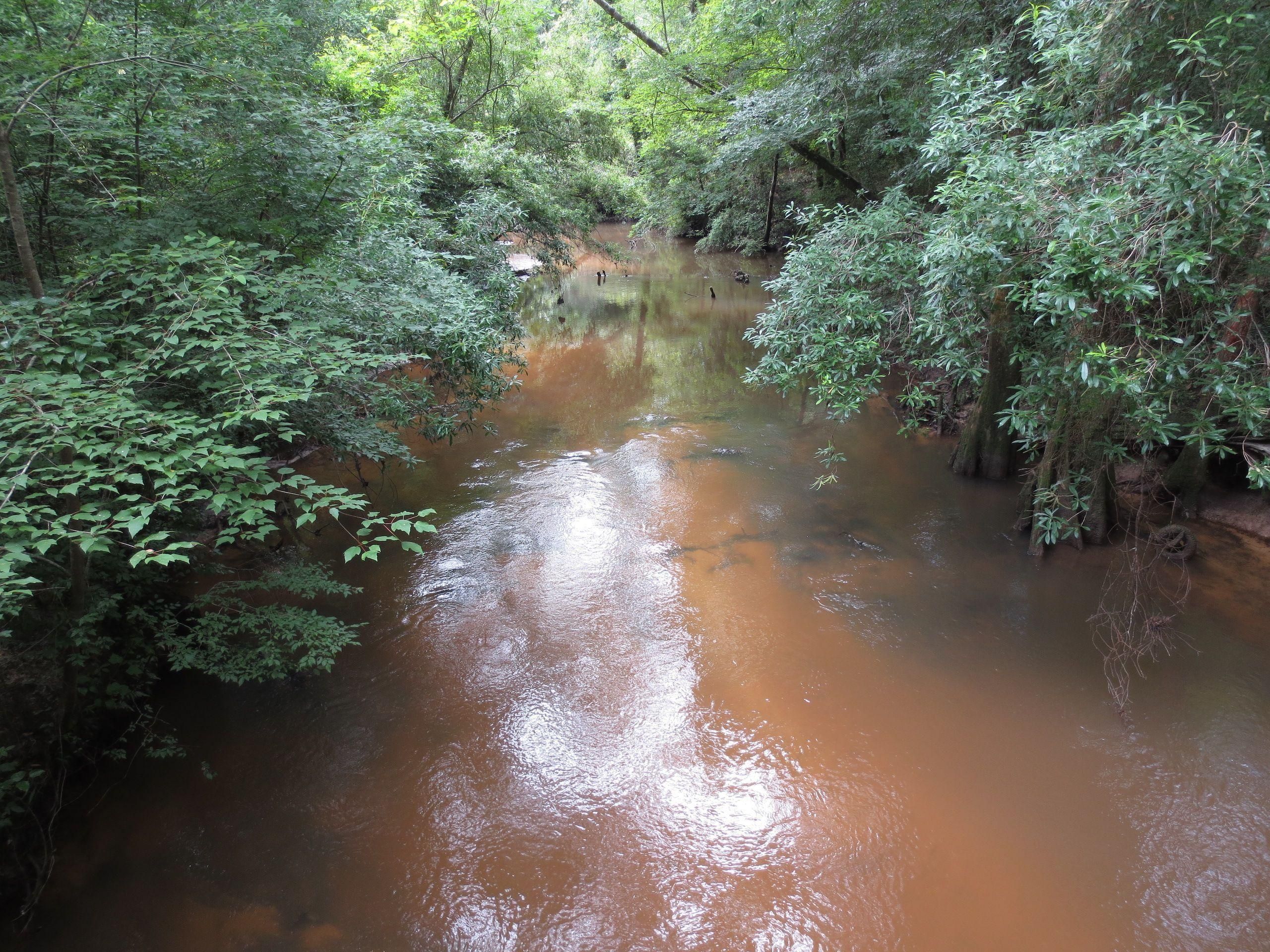 Columbia, Marion County, MS Recreational Property, Timberland Property