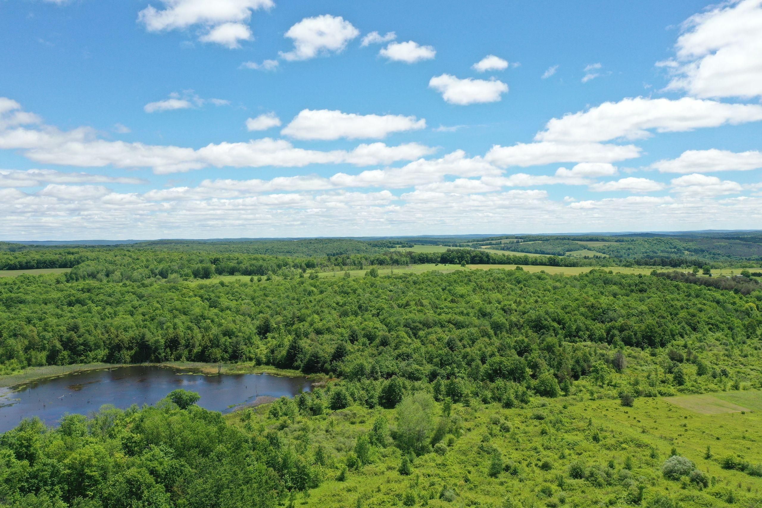 95 Waverly Road, LotWP001, Triangle, NY 13746 LandWatch