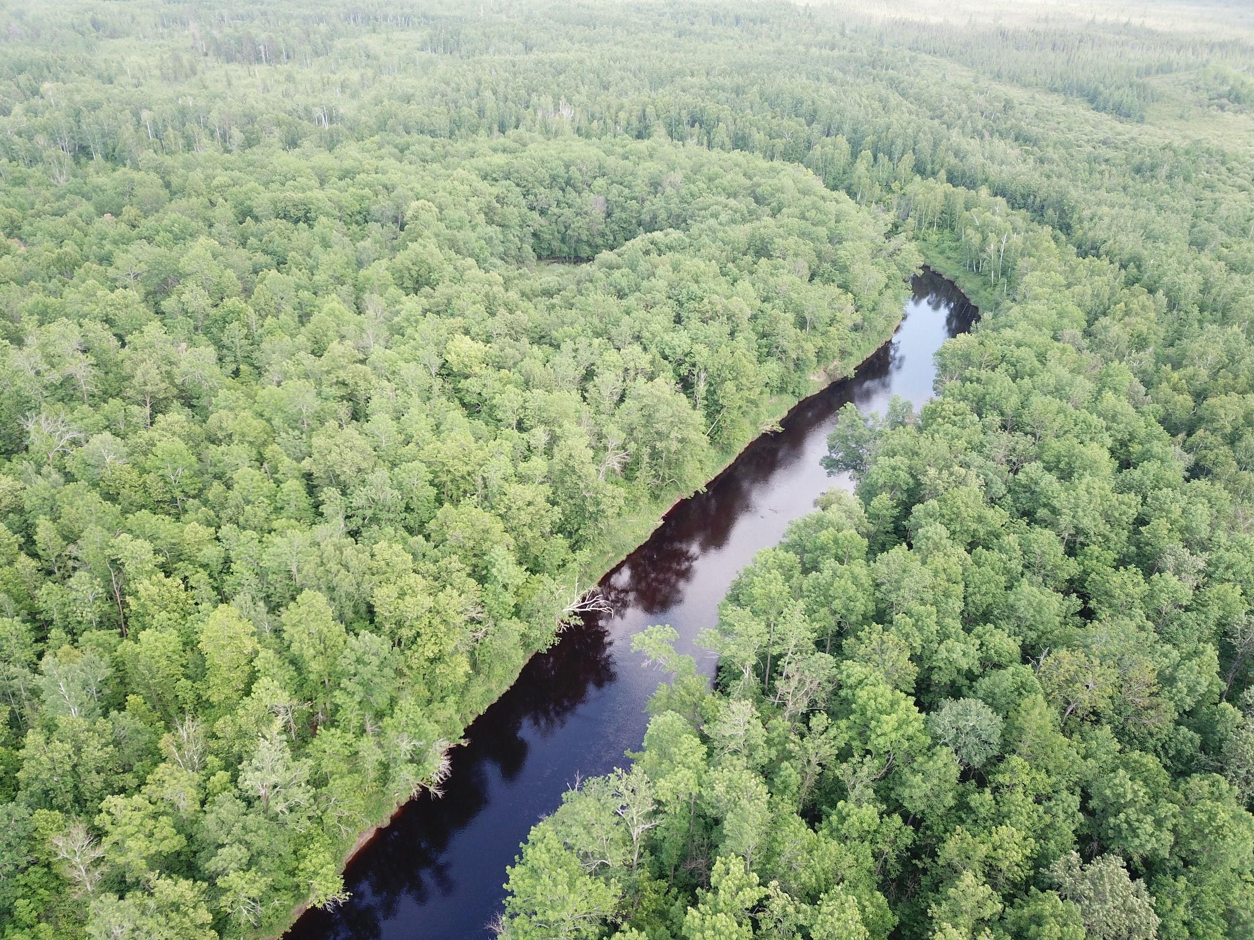 Baudette, Lake of the Woods County, MN Recreational Property, Timberland Property, Hunting