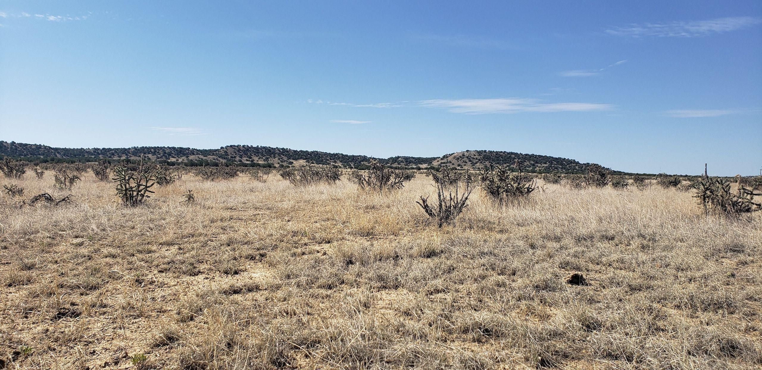 Model, Las Animas County, CO Recreational Property, Hunting Property