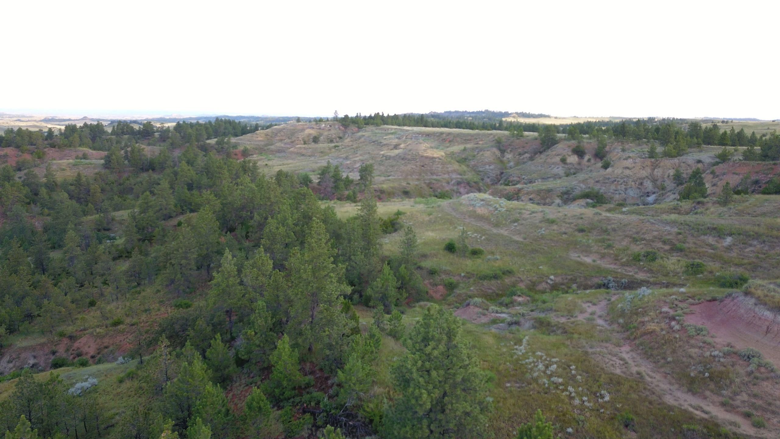 Basin Creek Road, Lot WP001, MT 59351 LandWatch