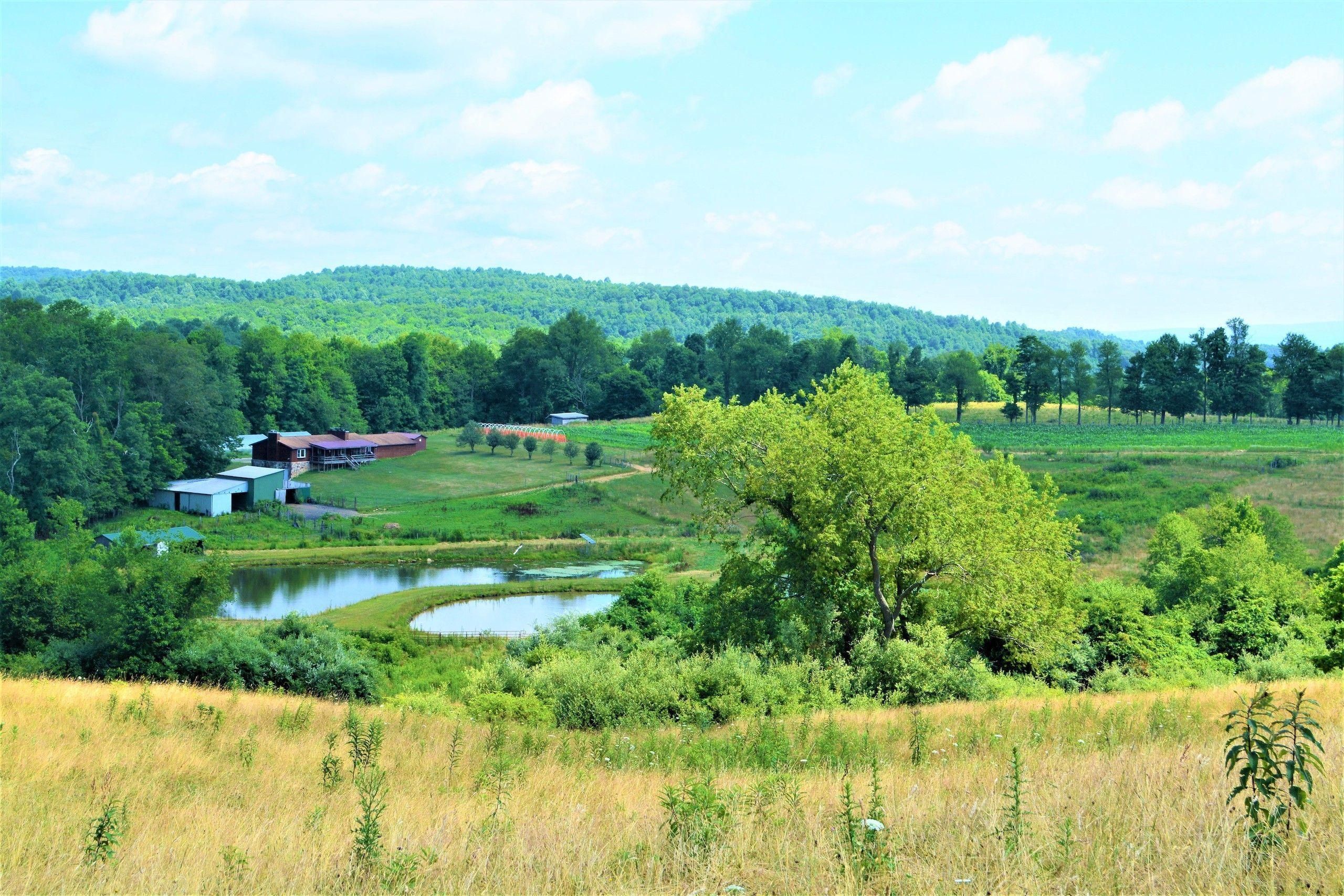 Tunnelton, Preston County, WV Farms and Ranches for sale Property ID