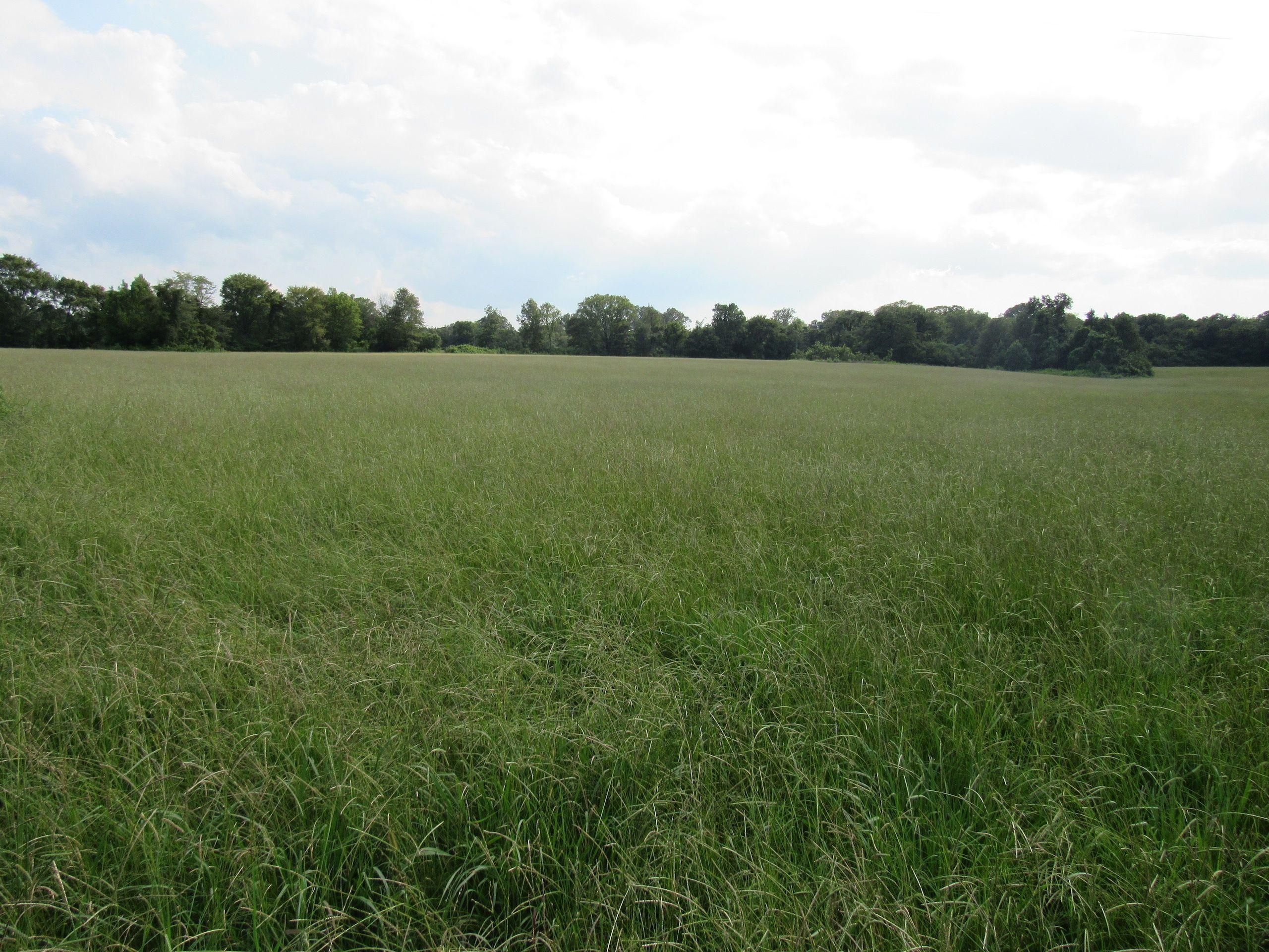 Eudora, Chicot County, AR Recreational Property, Hunting Property for sale Property ID