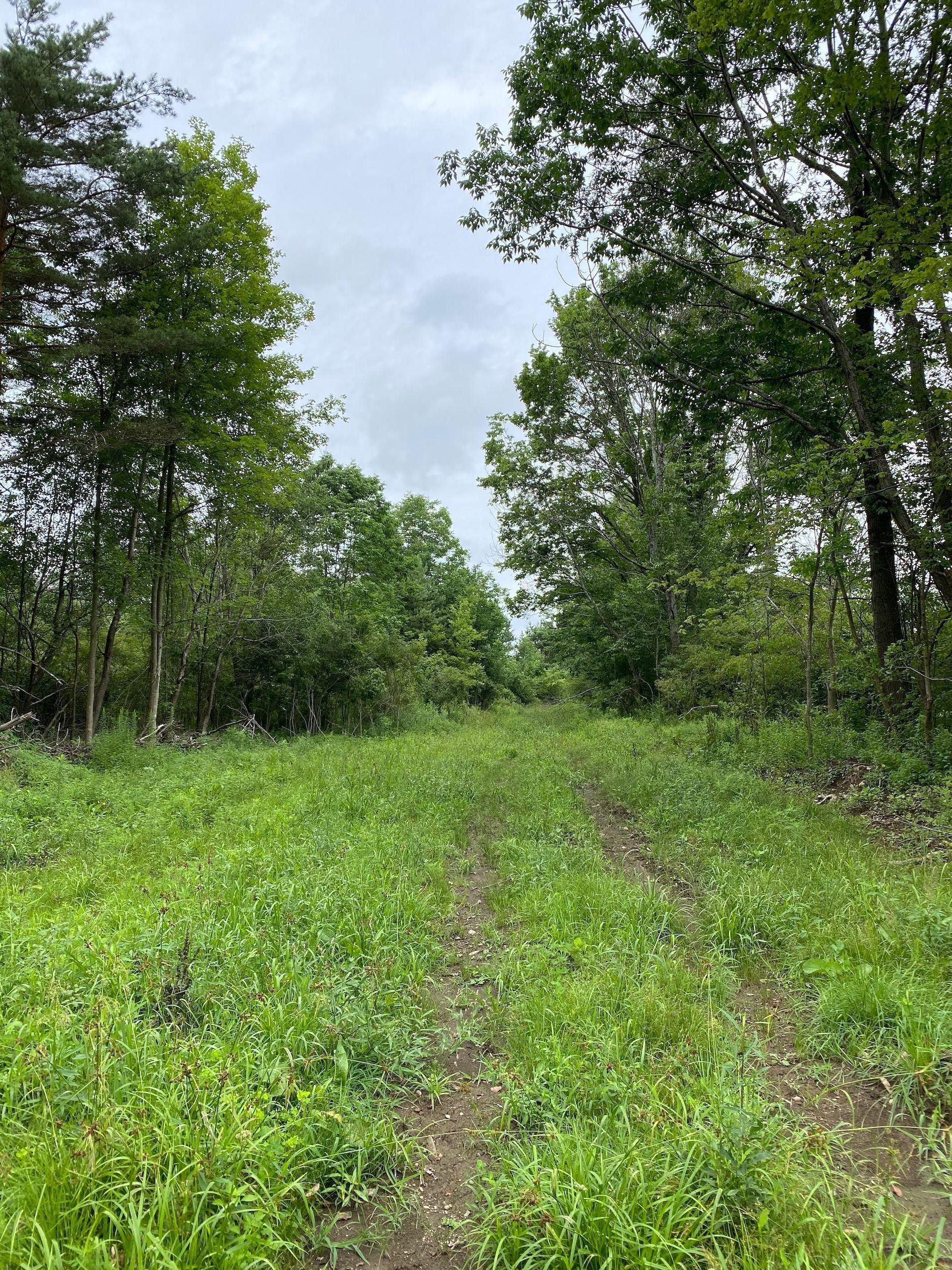Titusville, Venango County, PA Recreational Property, Undeveloped Land