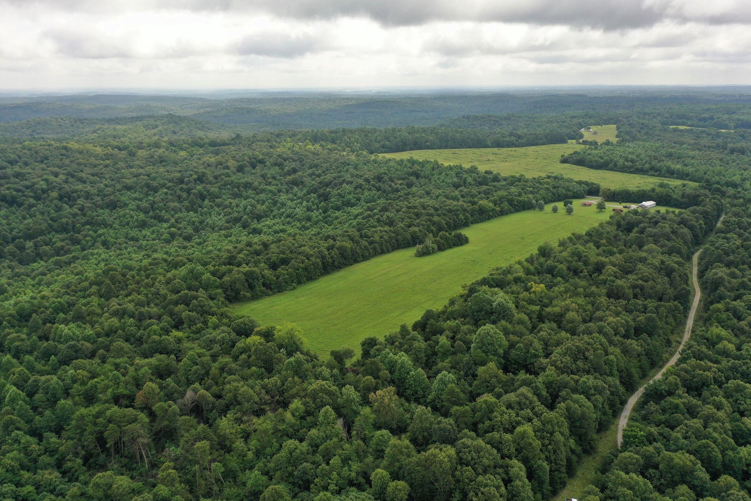 Hopkinsville, Christian County, KY Recreational Property, Timberland