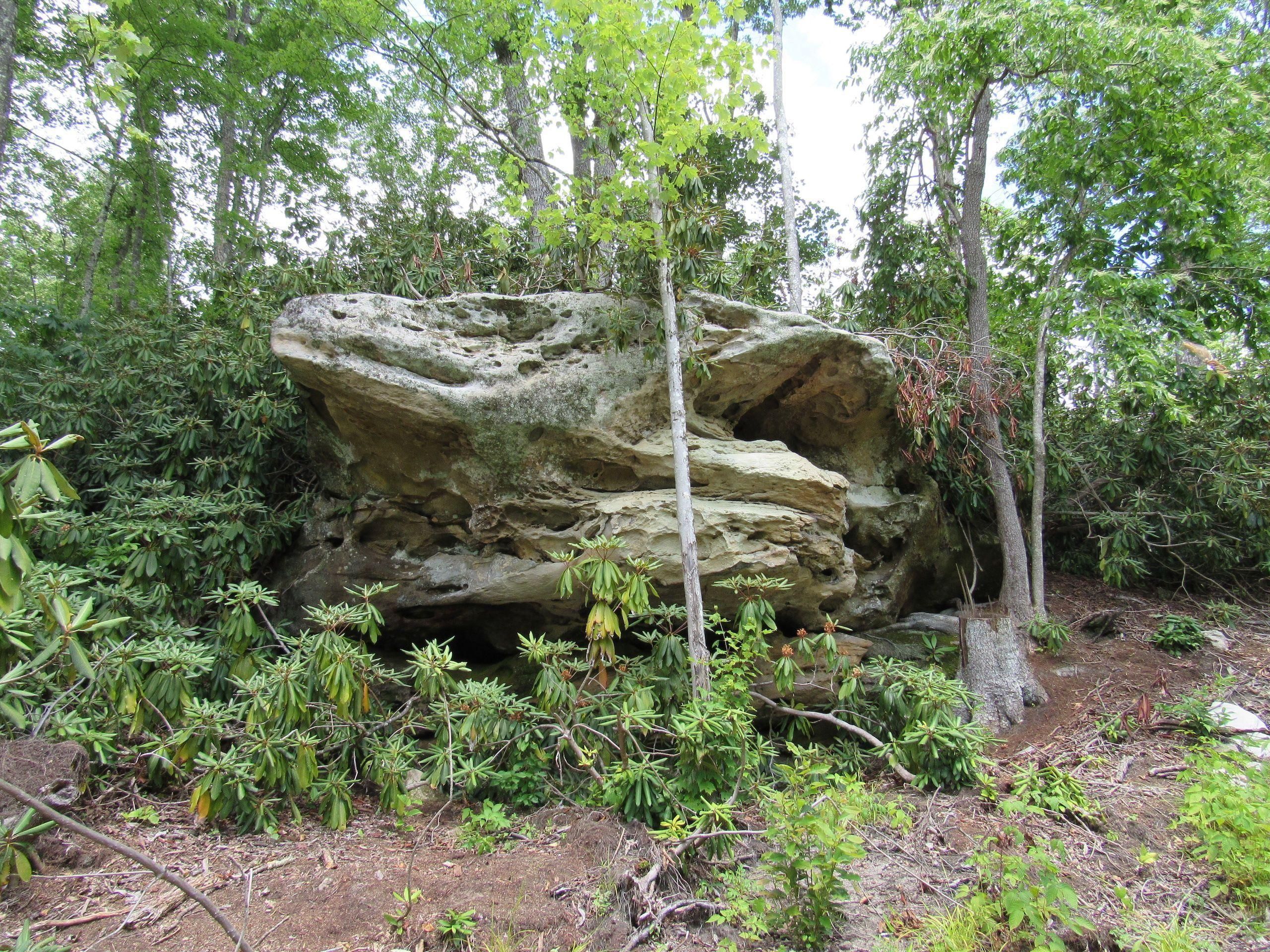 Fenwick, Nicholas County, WV Recreational Property, Timberland Property