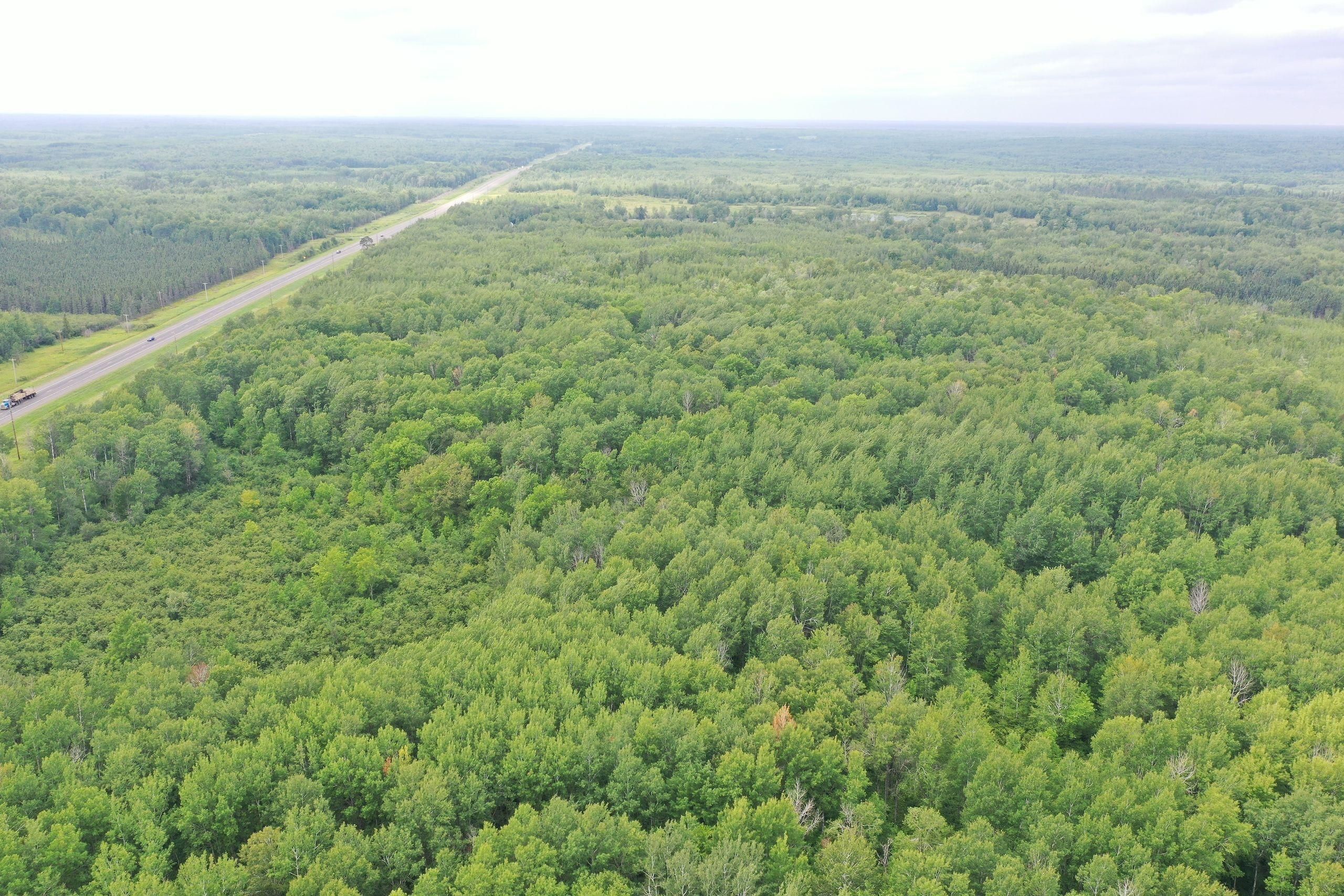 Brookston, Saint Louis County, MN Recreational Property, Timberland