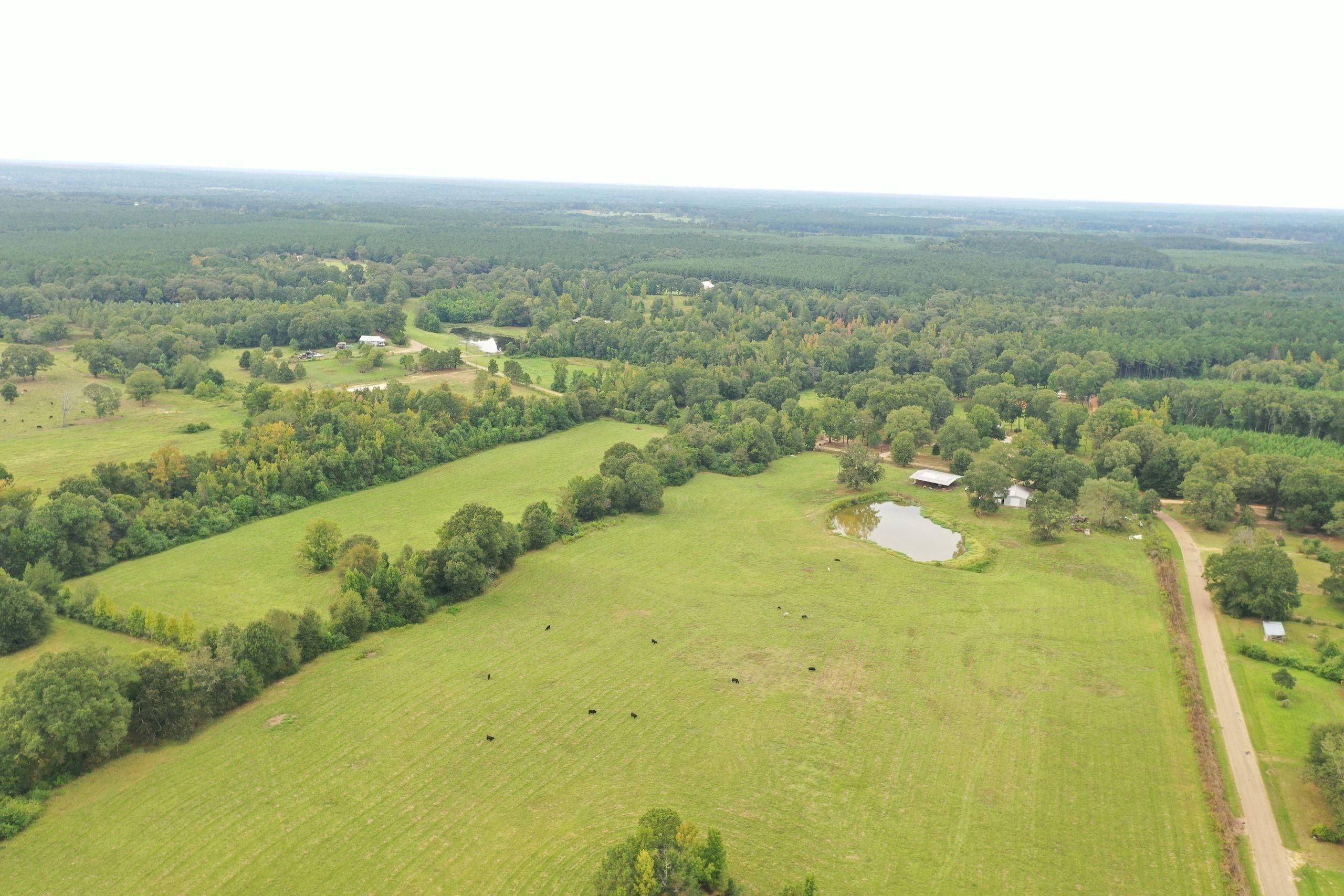 Kentwood, Saint Helena Parish, LA Recreational Property, Timberland