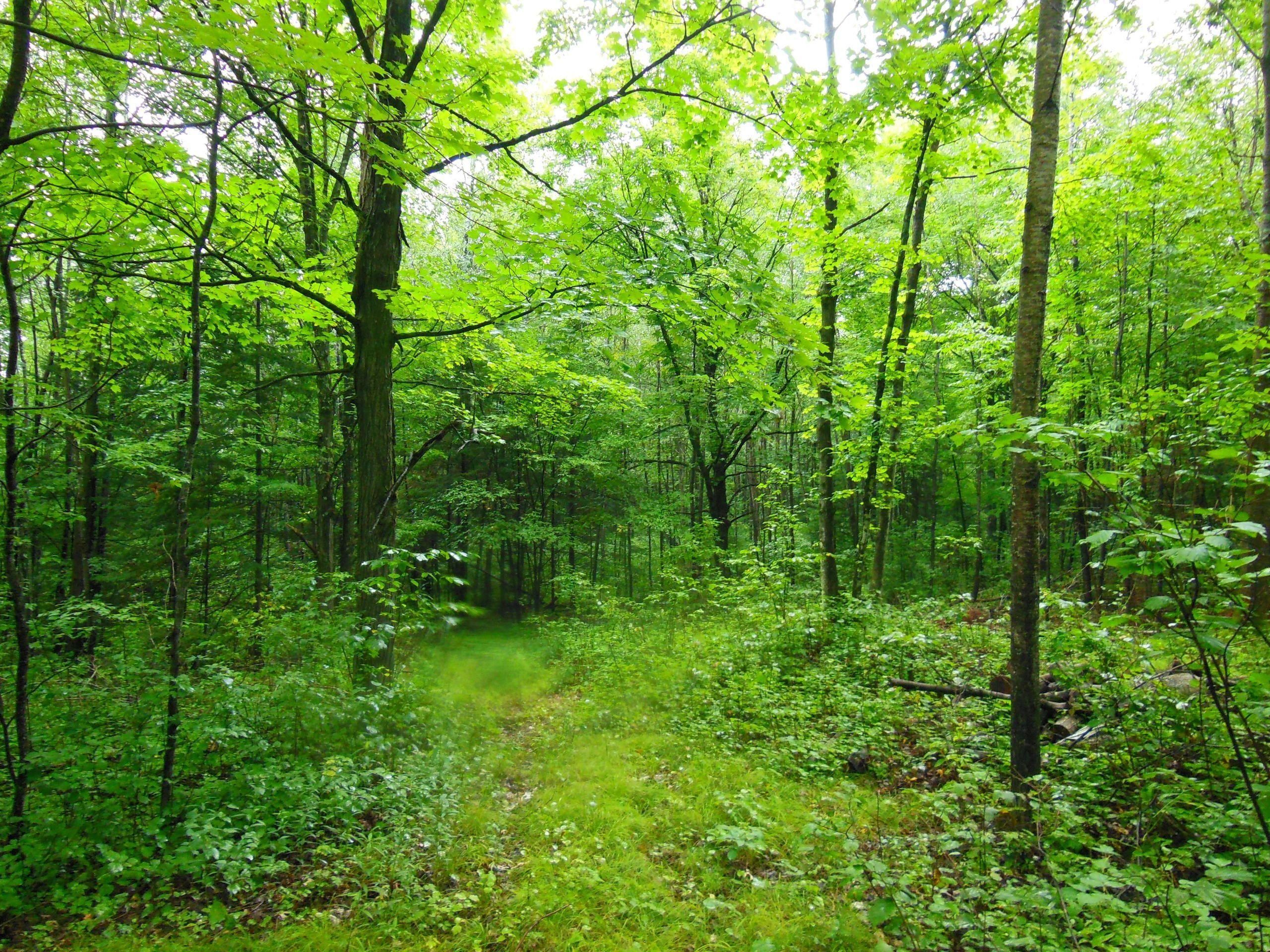 Merrill, Lincoln County, WI Recreational Property, Hunting Property for