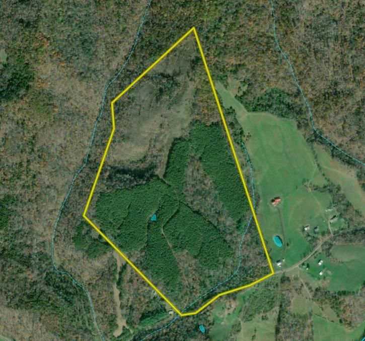 Petroleum, Ritchie County, WV Recreational Property, Timberland