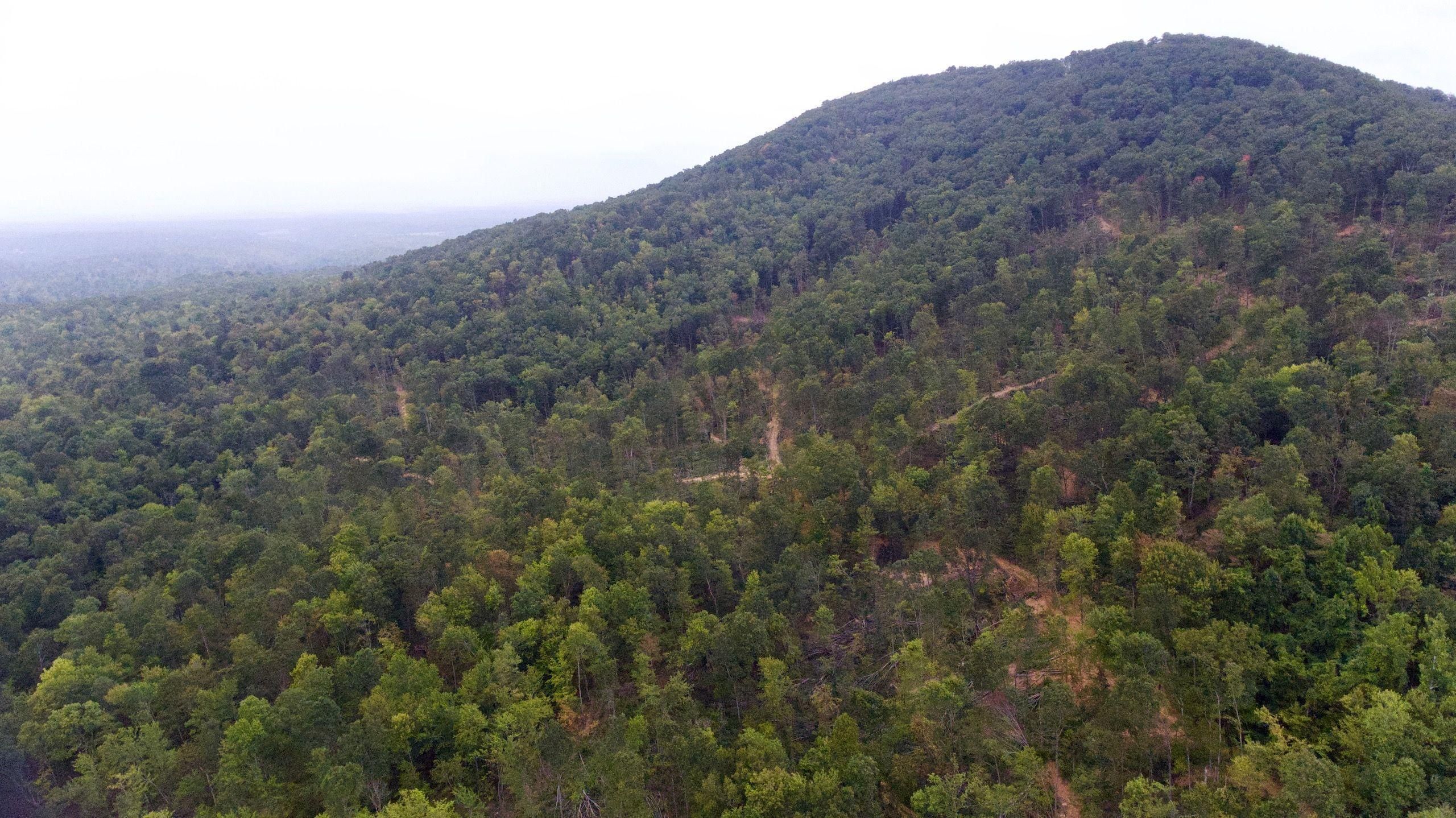 Sunbright, County, TN Recreational Property, Timberland Property