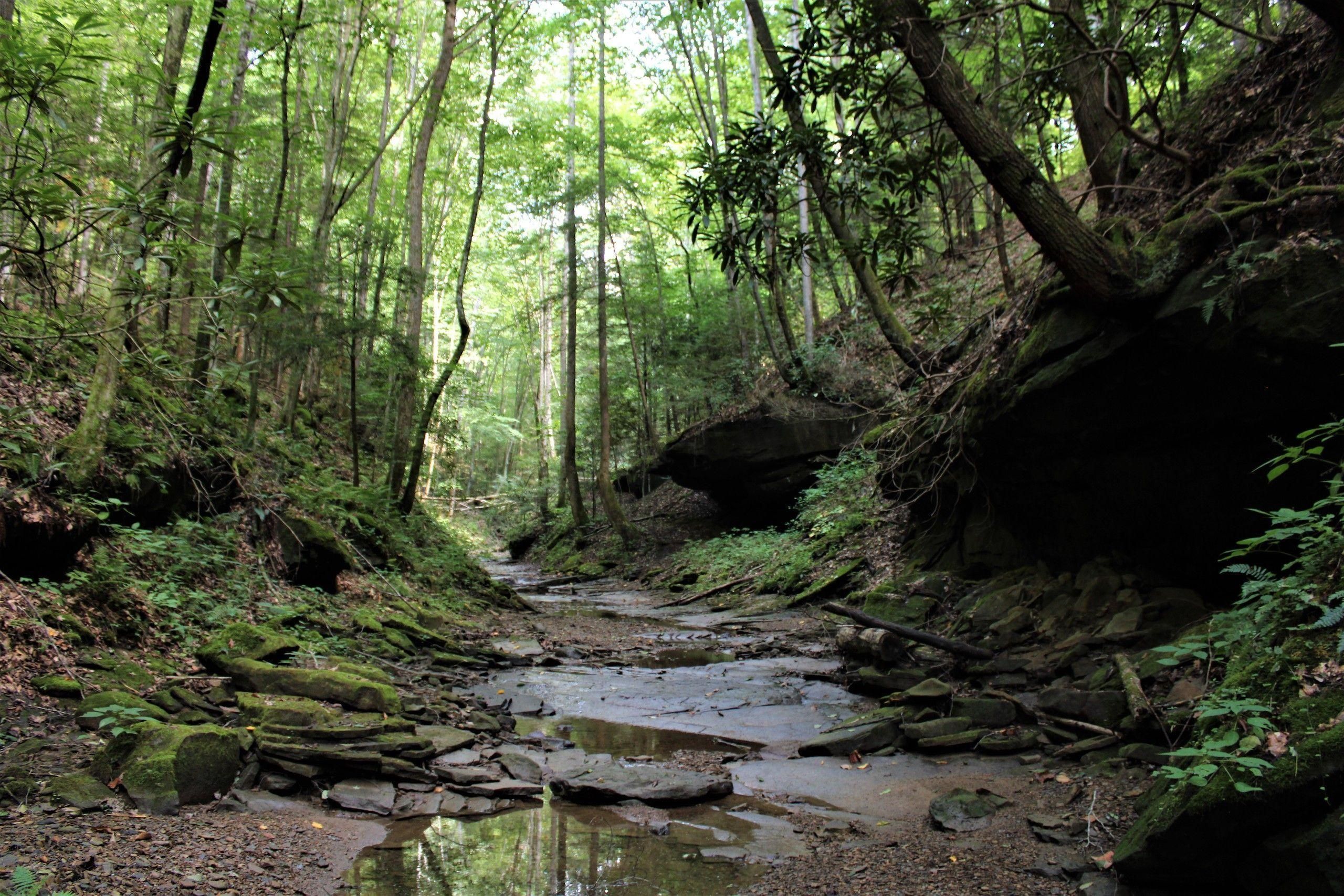 Jackson, Breathitt County, KY Recreational Property, Timberland