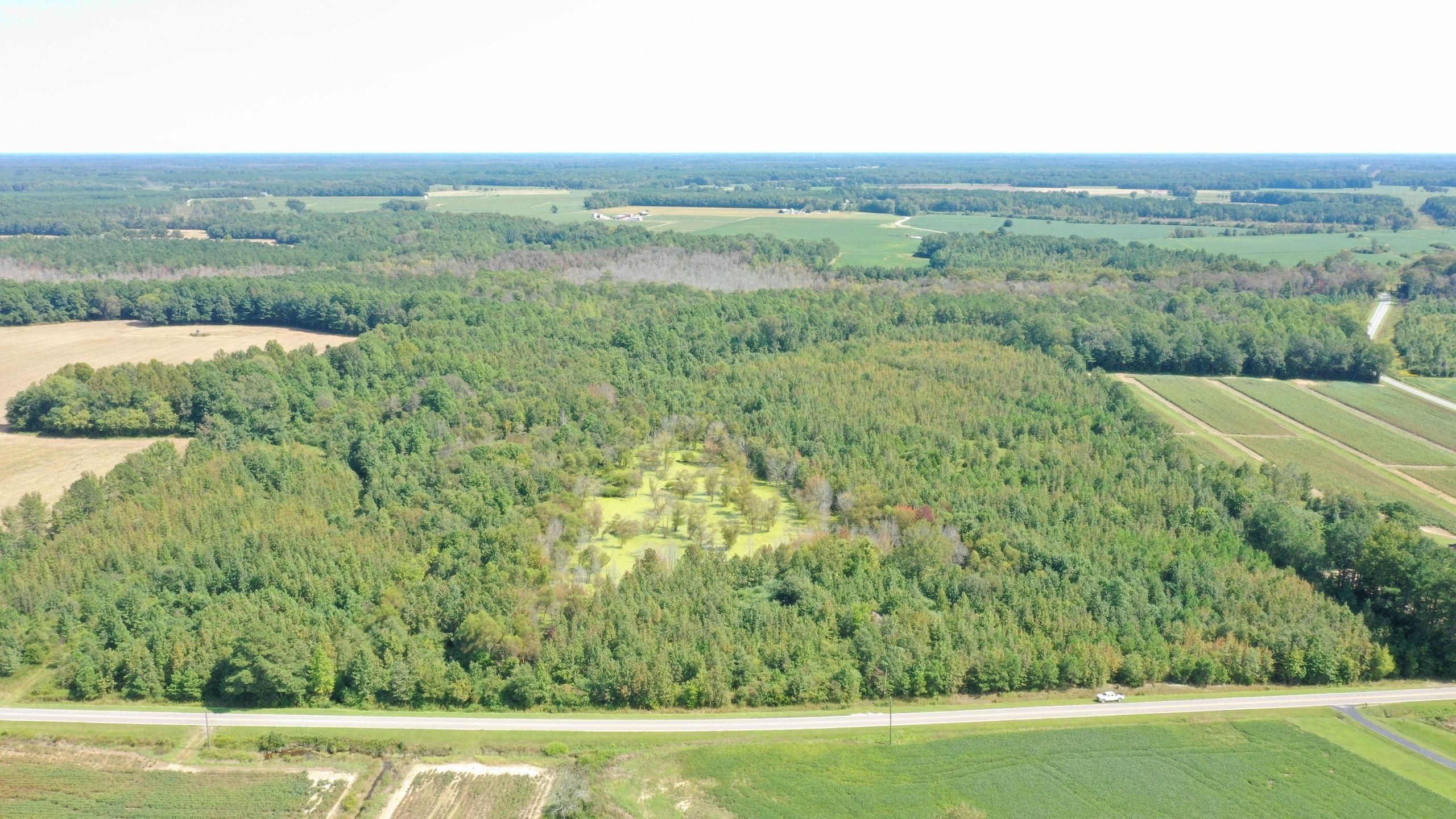 Garysburg, Northampton County, NC Recreational Property, Timberland