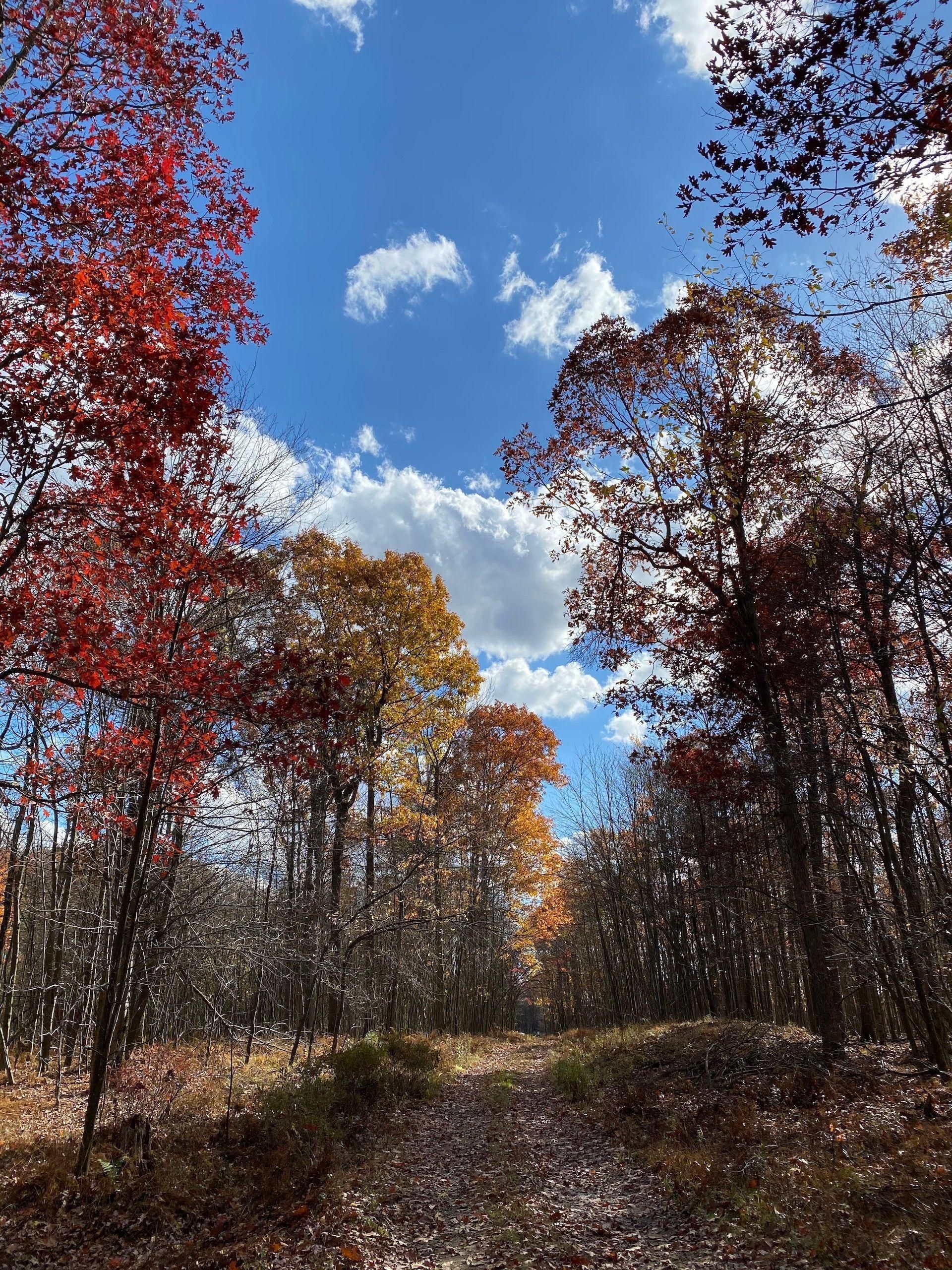 Weedville, Elk County, PA Recreational Property, Undeveloped Land