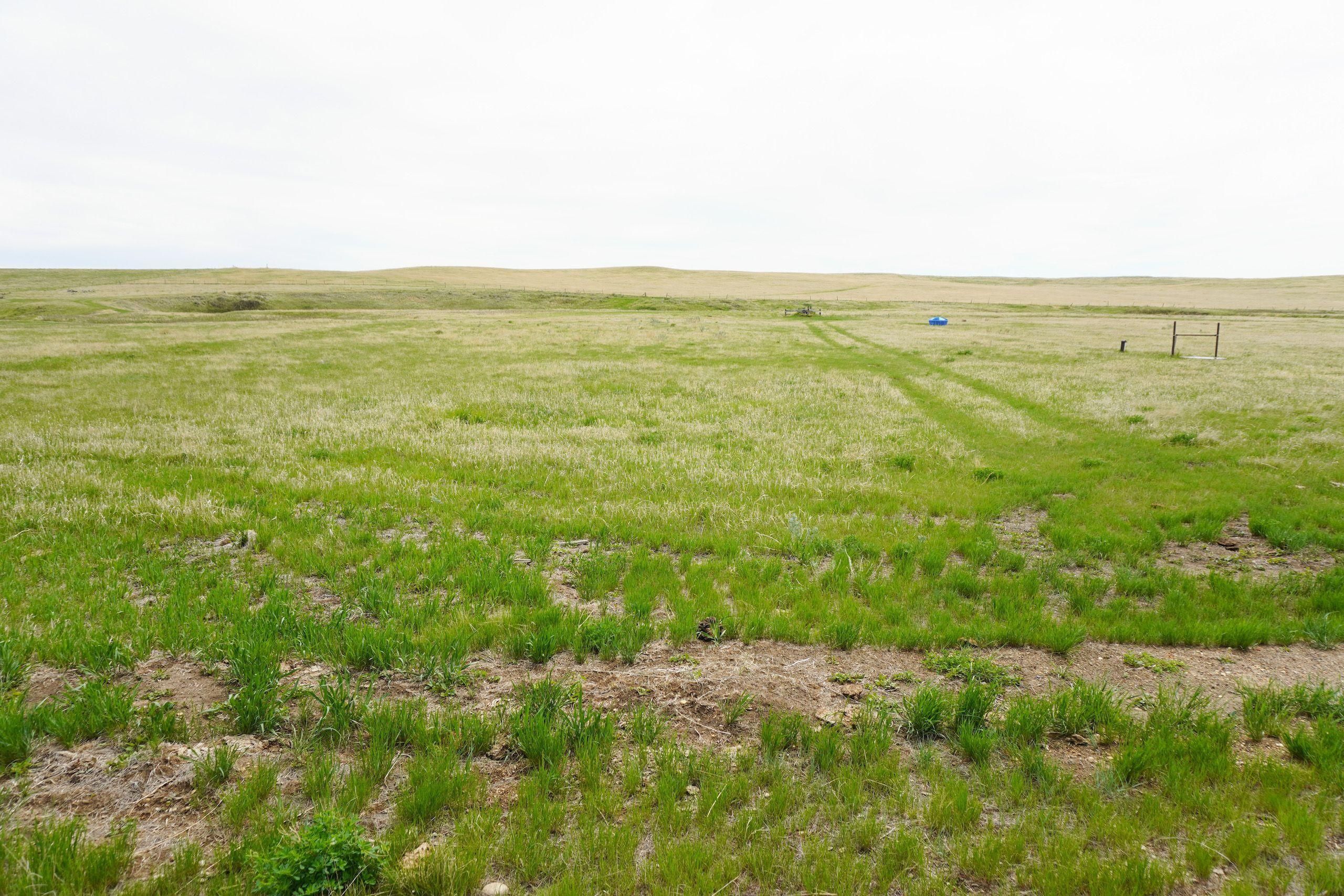 Wibaux, Fallon County, MT Farms and Ranches, Hunting Property for sale