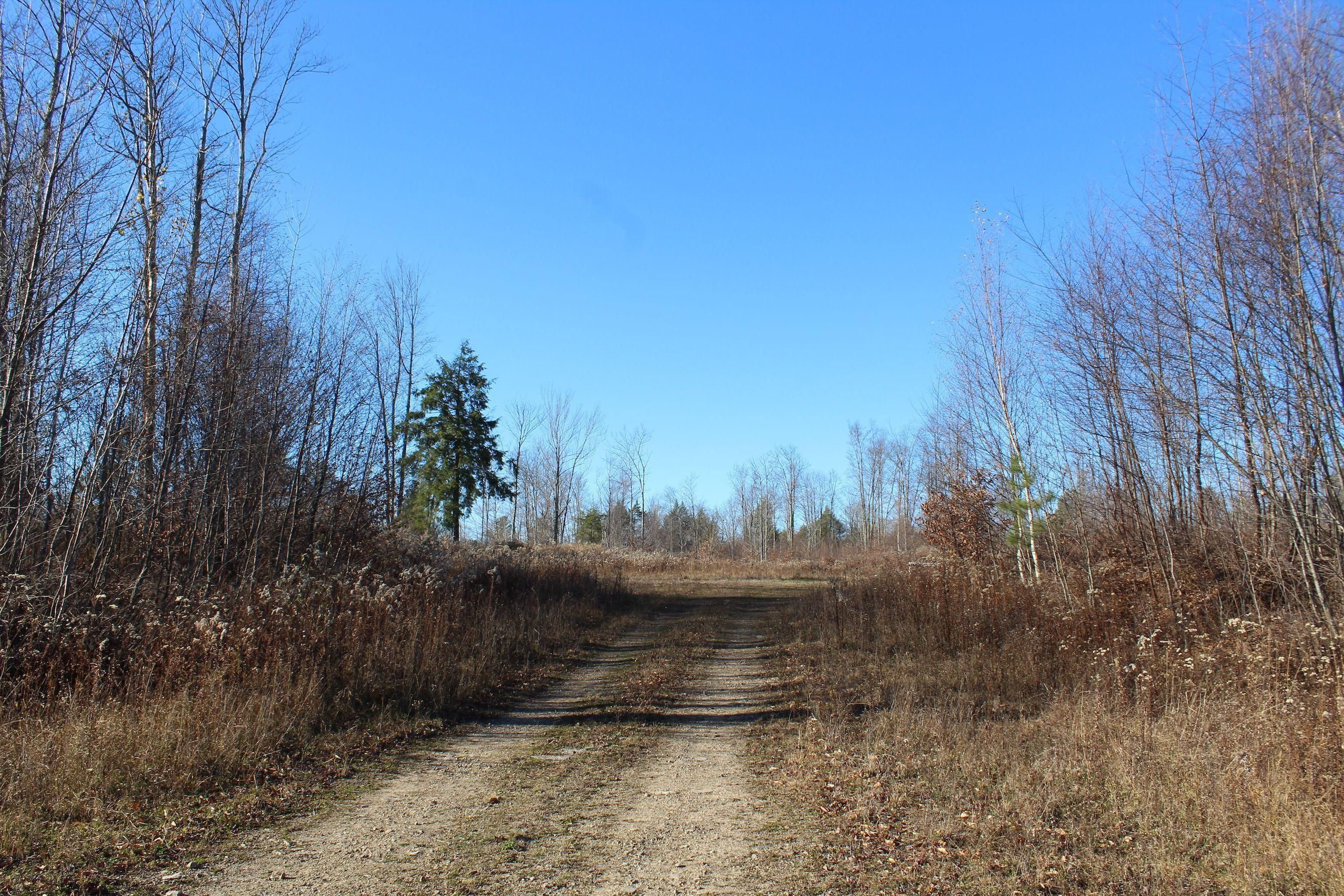 Wellsboro, Tioga County, PA Recreational Property, Timberland Property